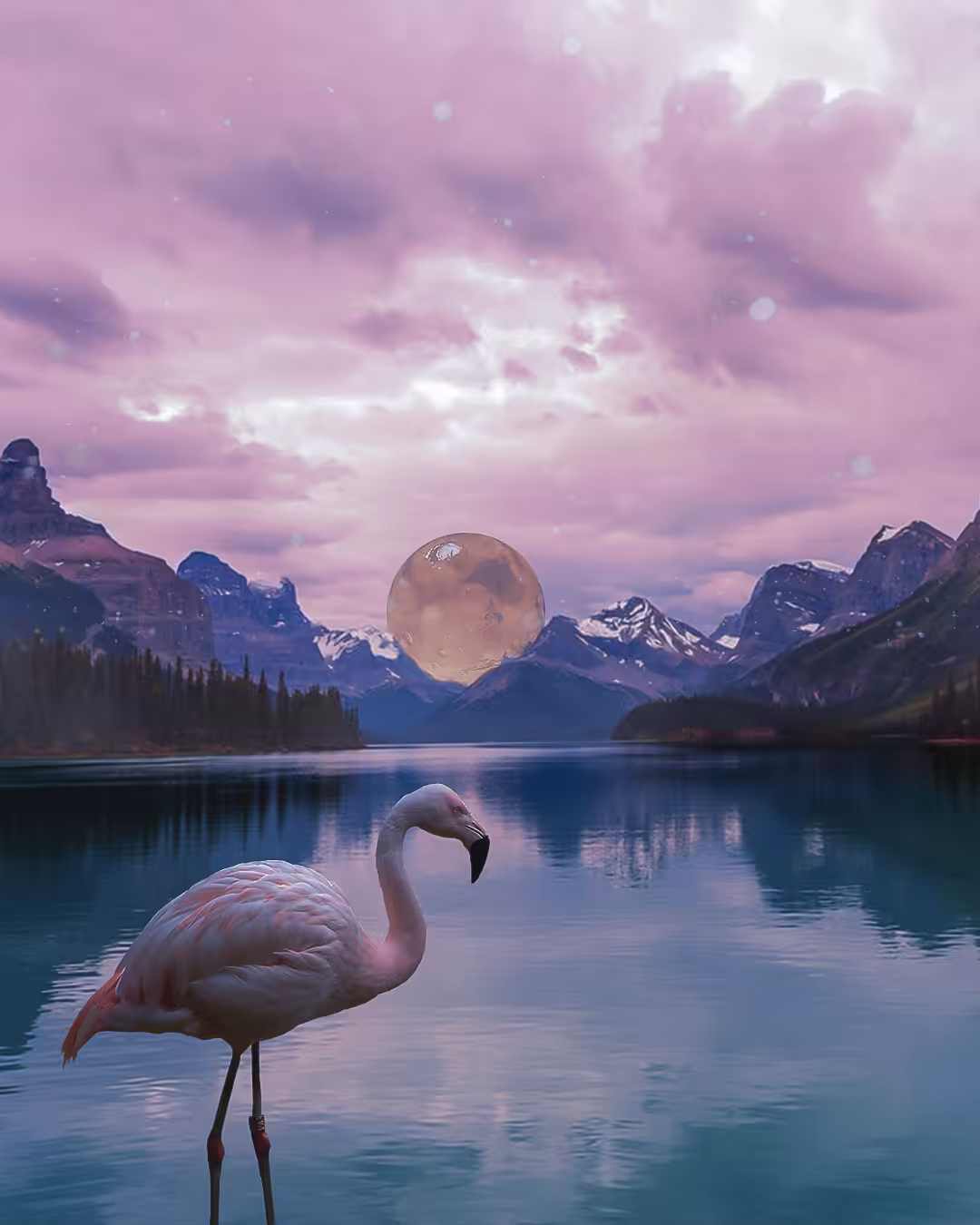 Pink Life