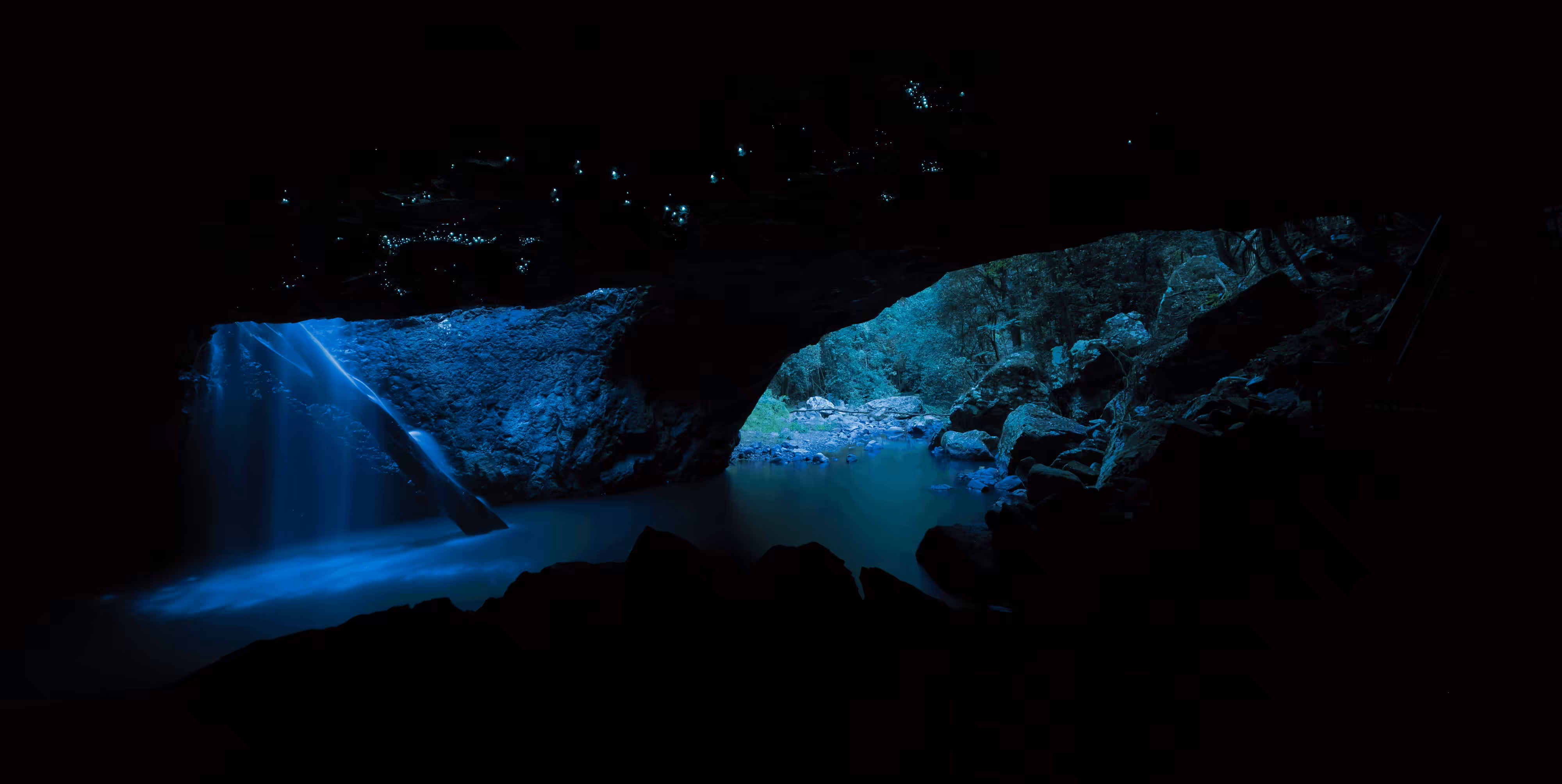 #39 - Glow Worms at Natural Bridge