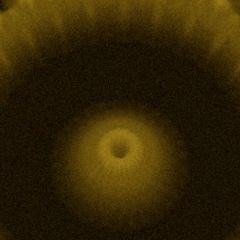 Bloom #9