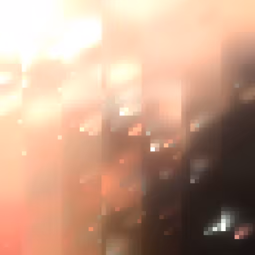 Wildfire #24