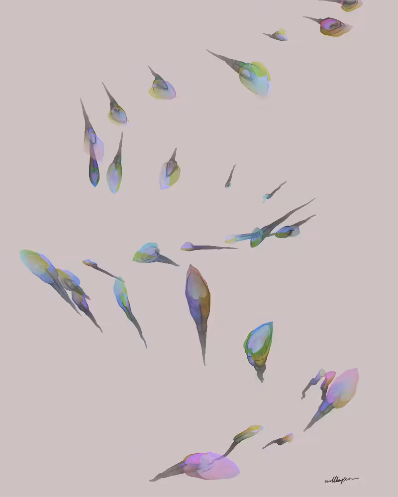 InBloom #71