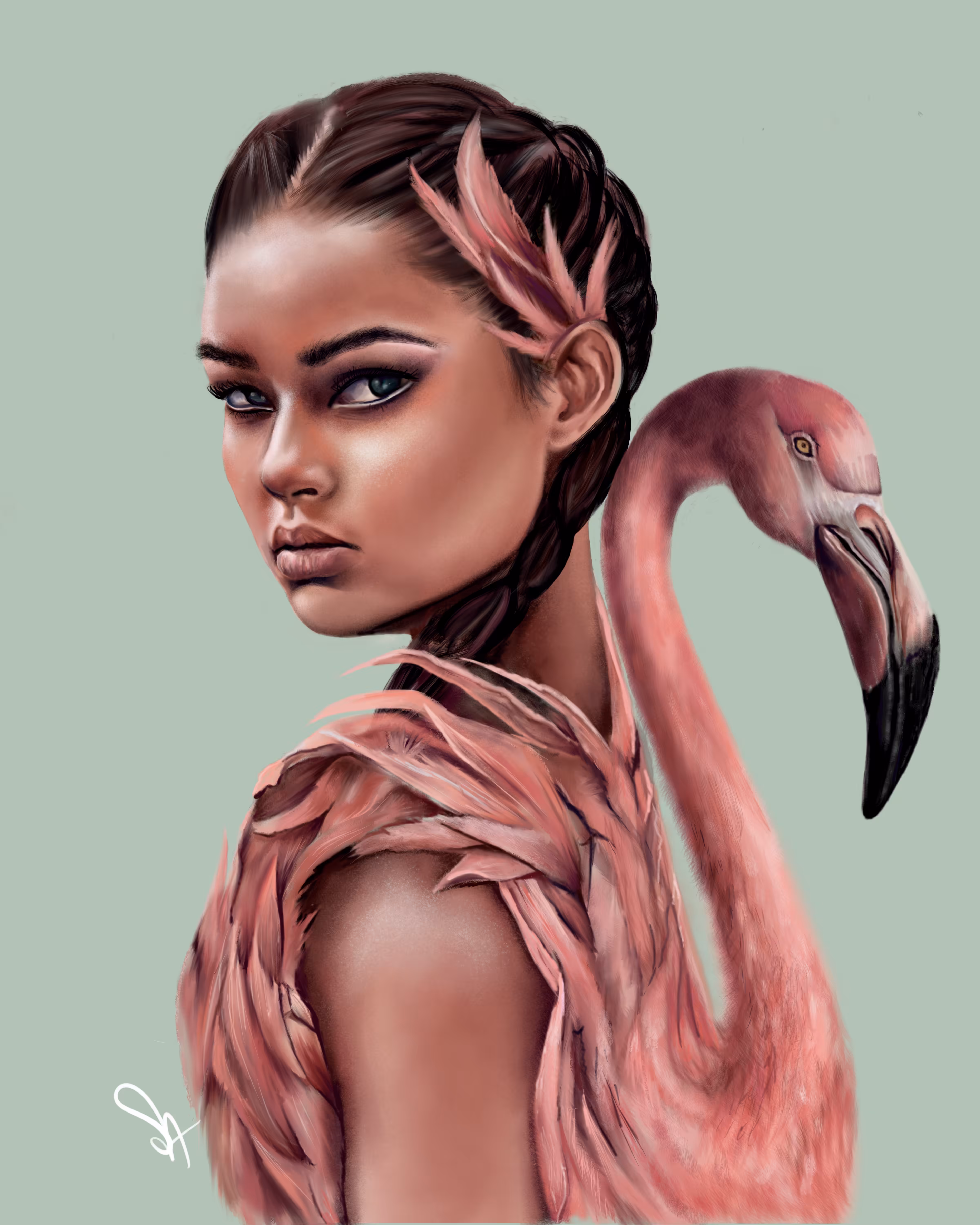 Flamingo