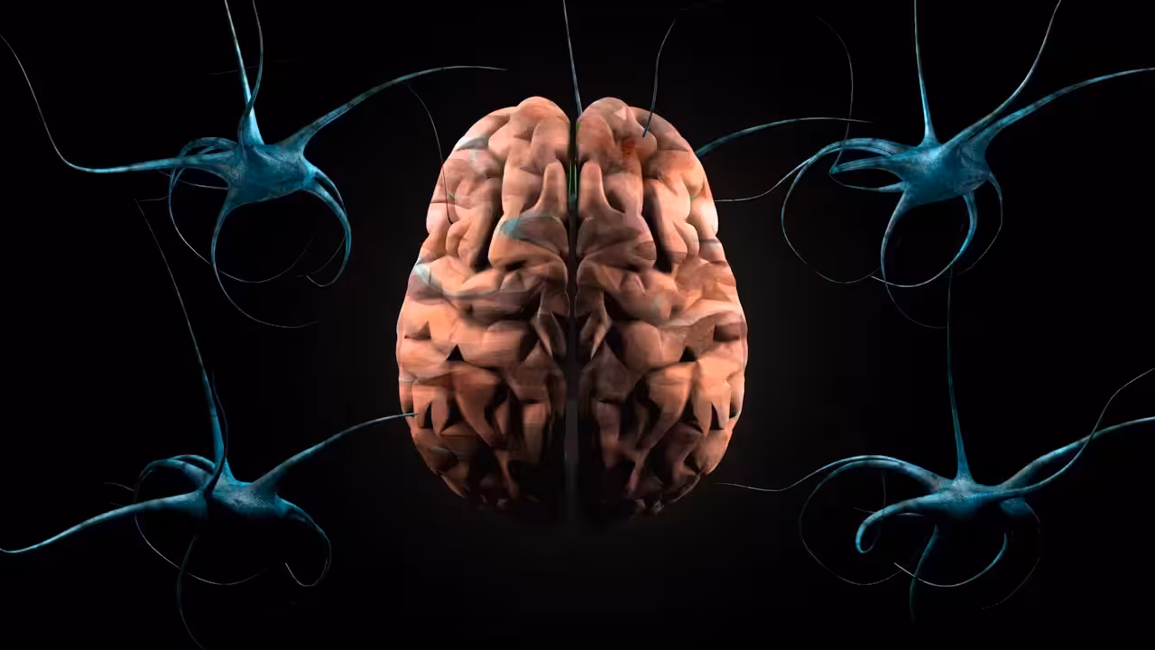 Peak Performance // Neurofeedback NFT