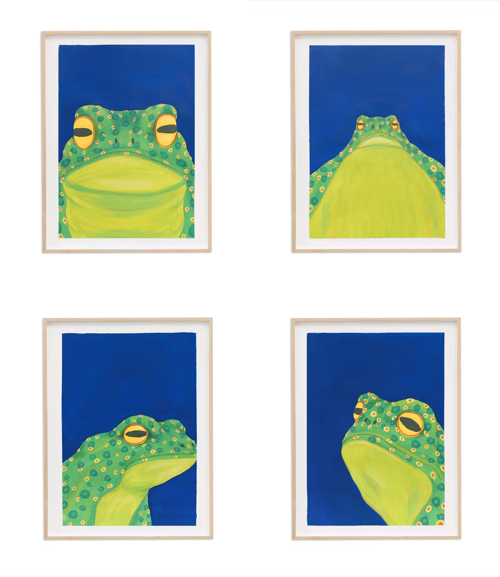 Toads