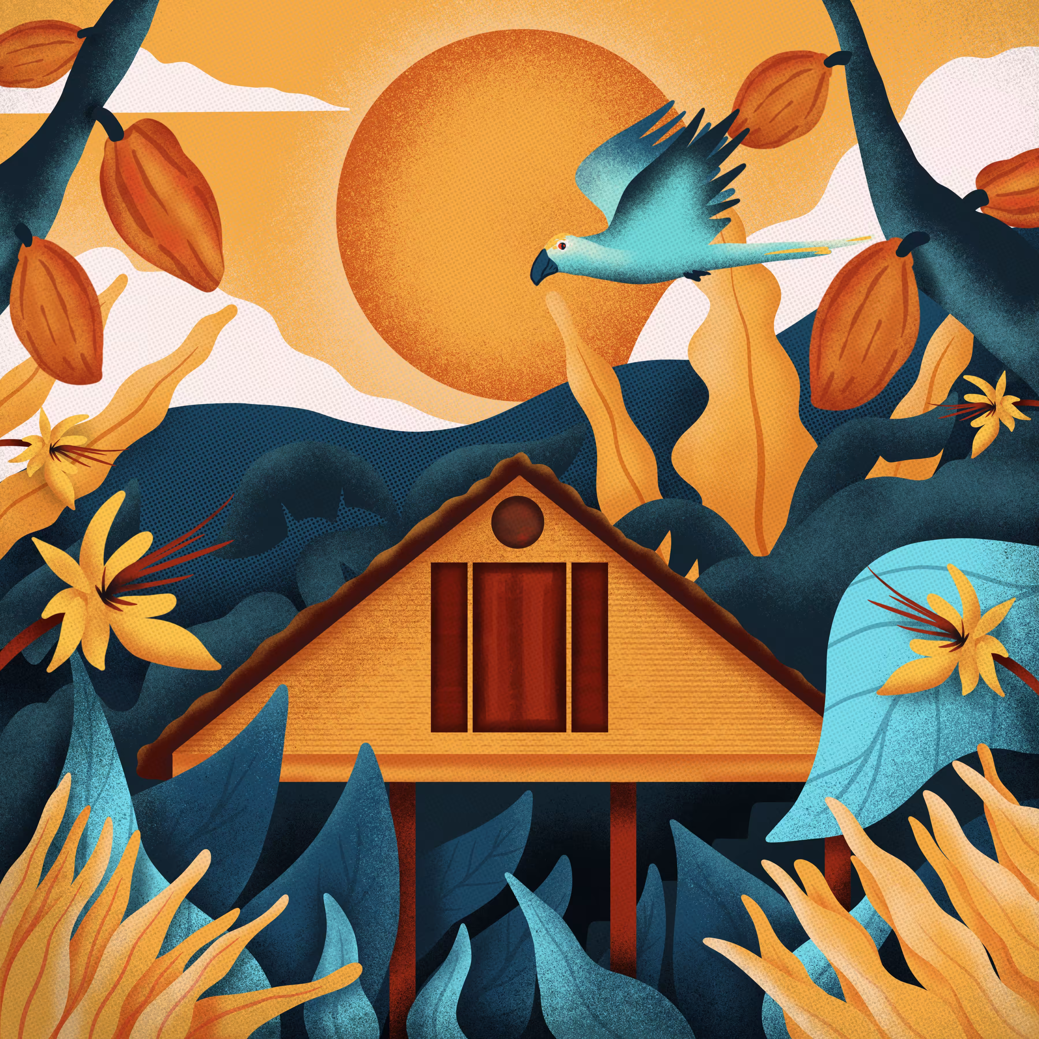 The Cocoa Shed