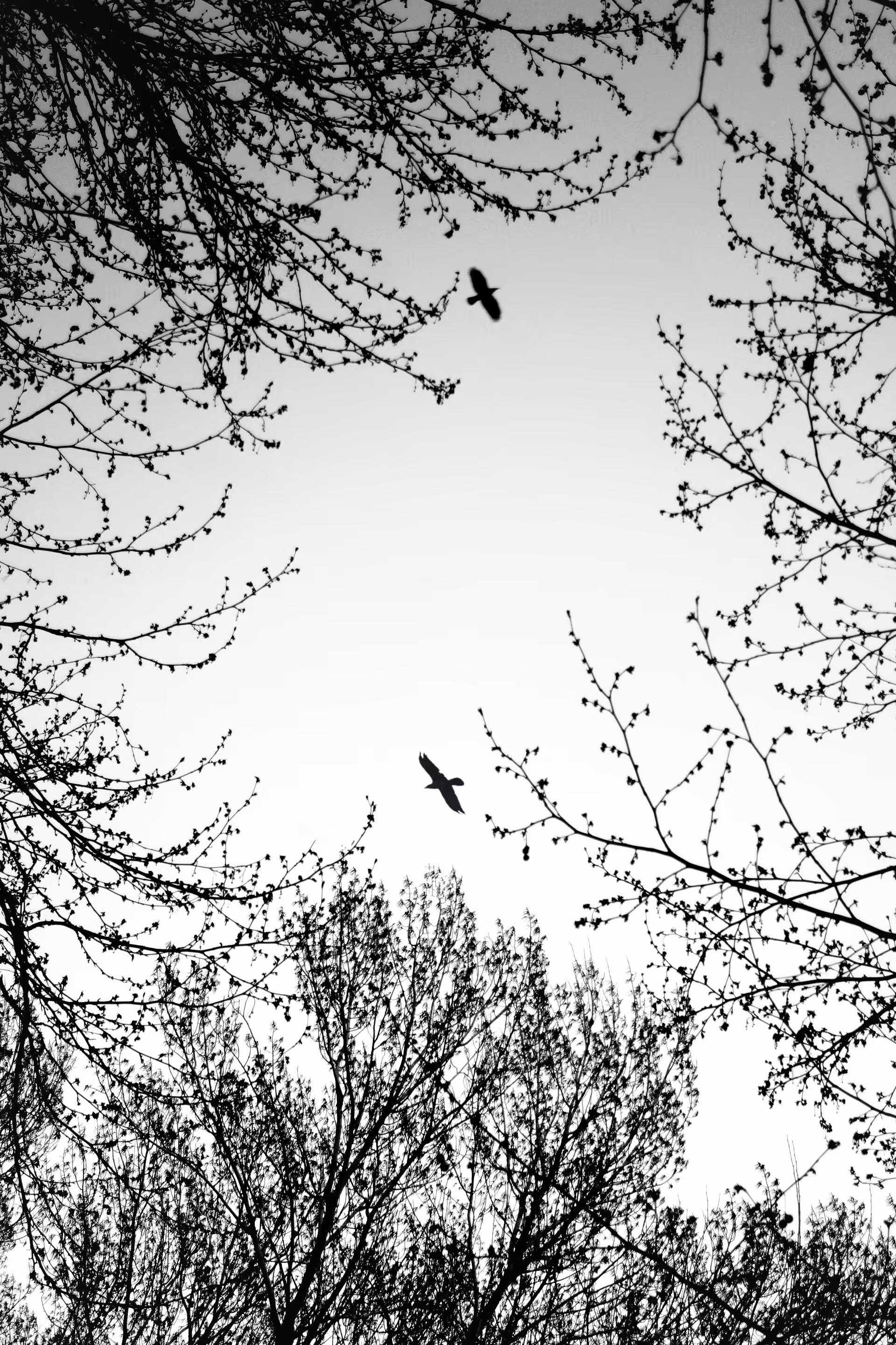In the sky