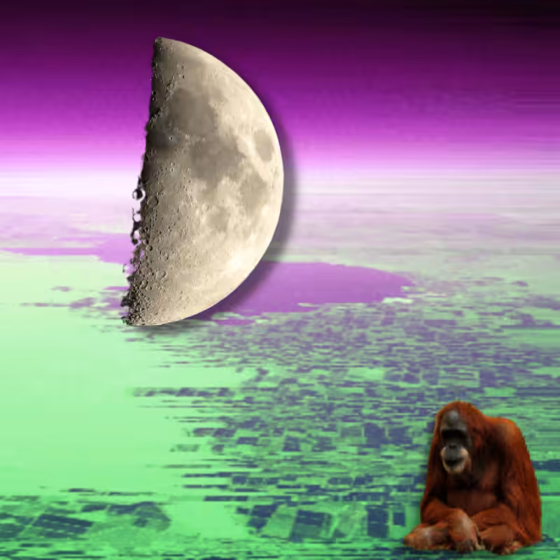 MoonKey #11