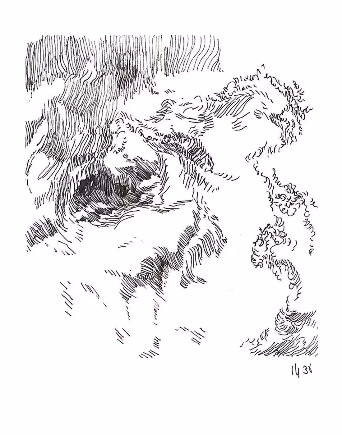 DN - Random Lines