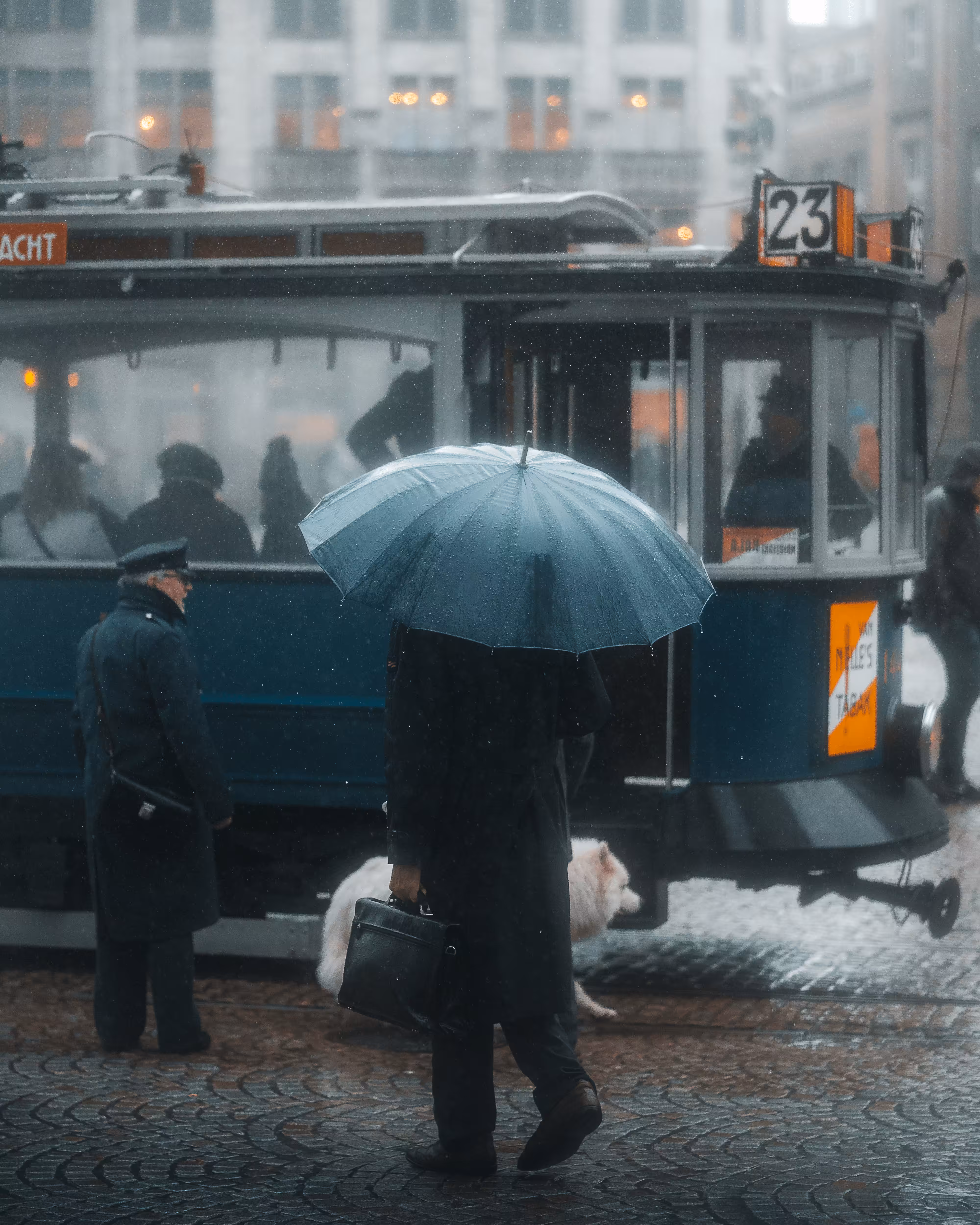 Stranger #13