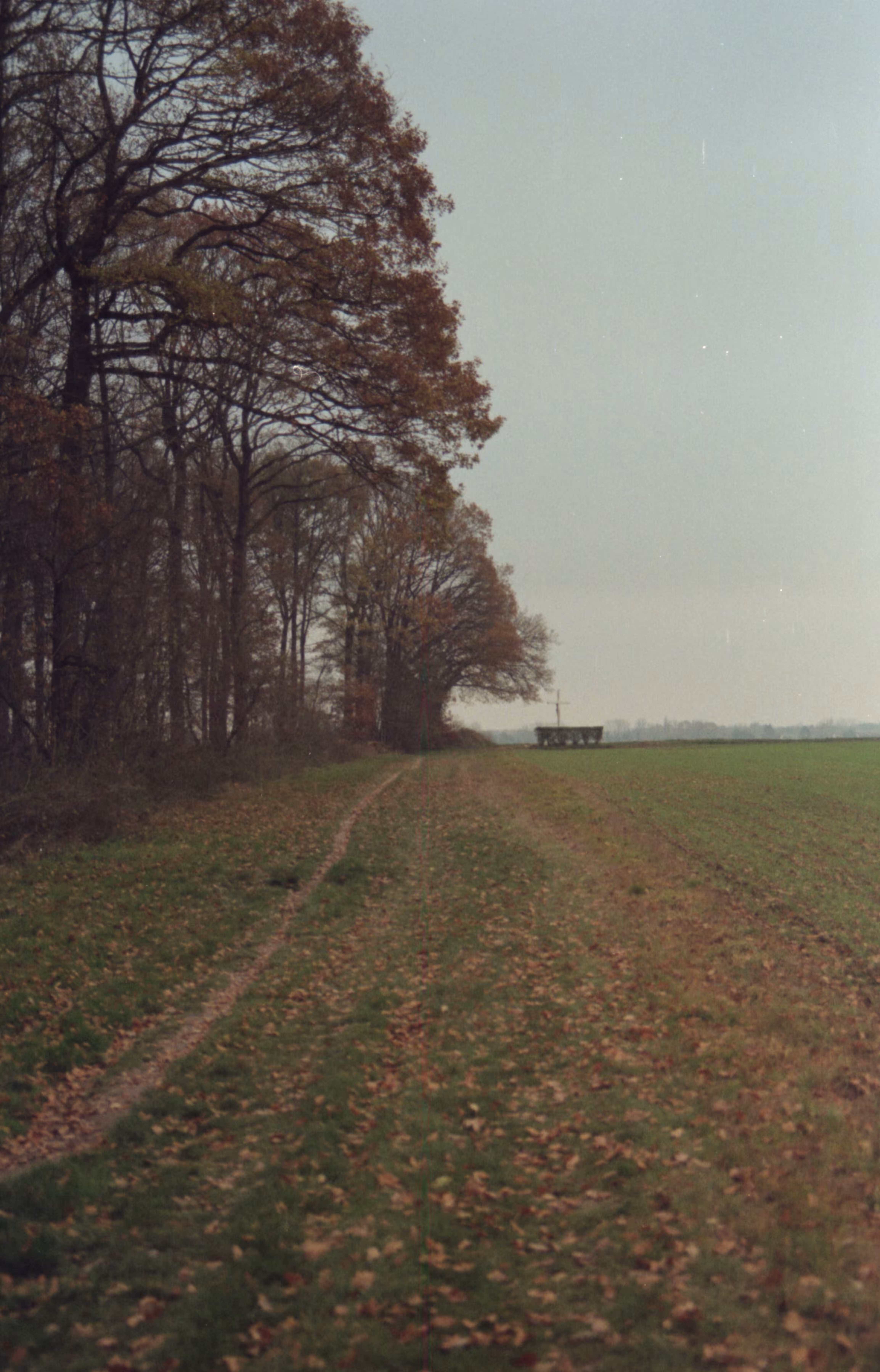 Paris Film Photography: balade d'hiver