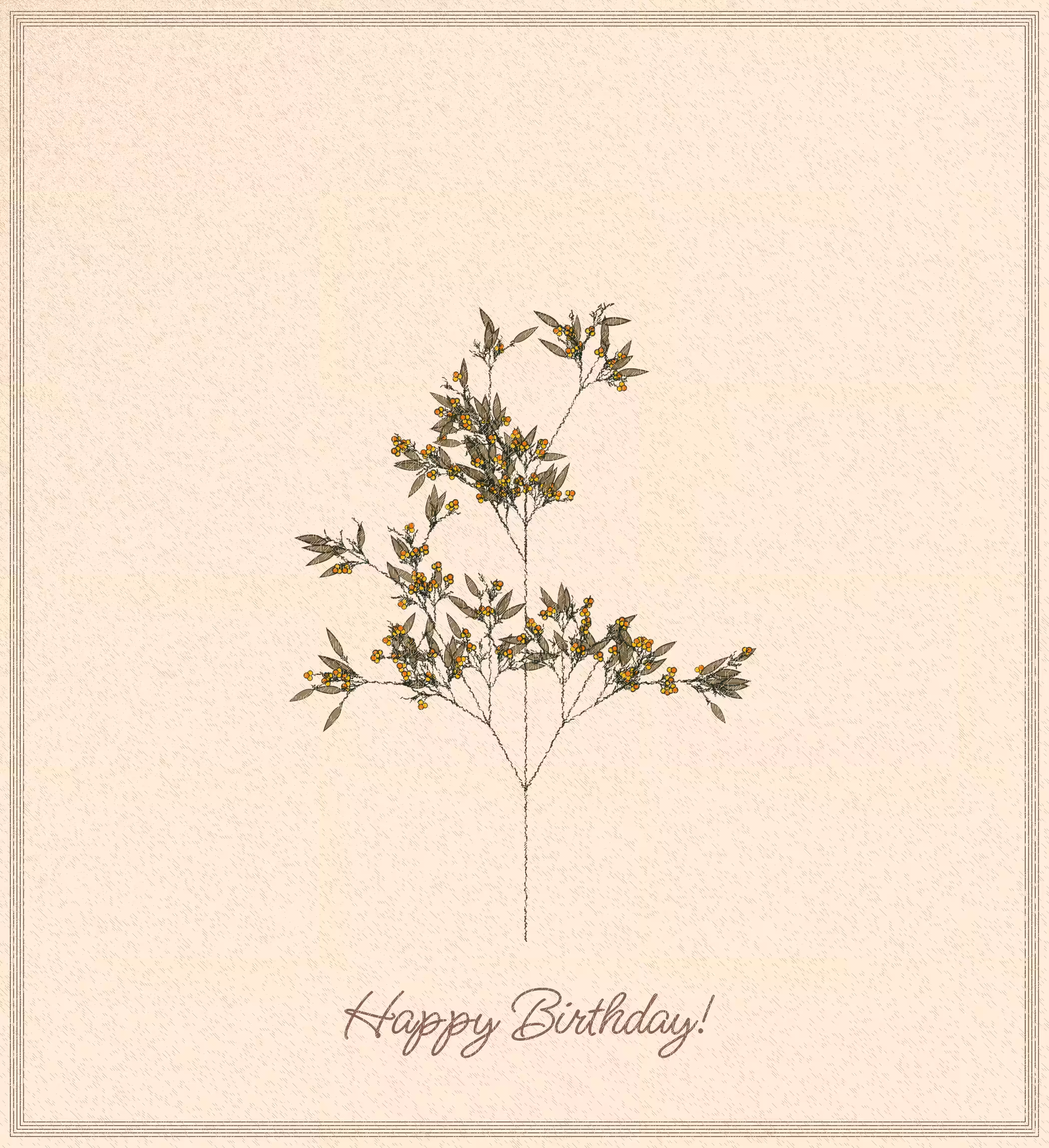 birthday cards #26