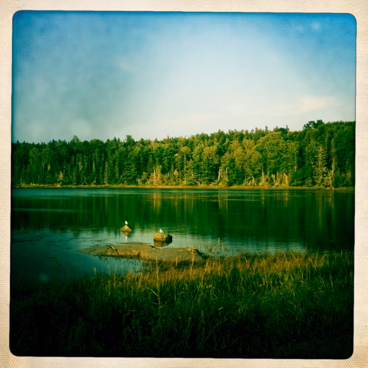 hipsta: IMG_3913