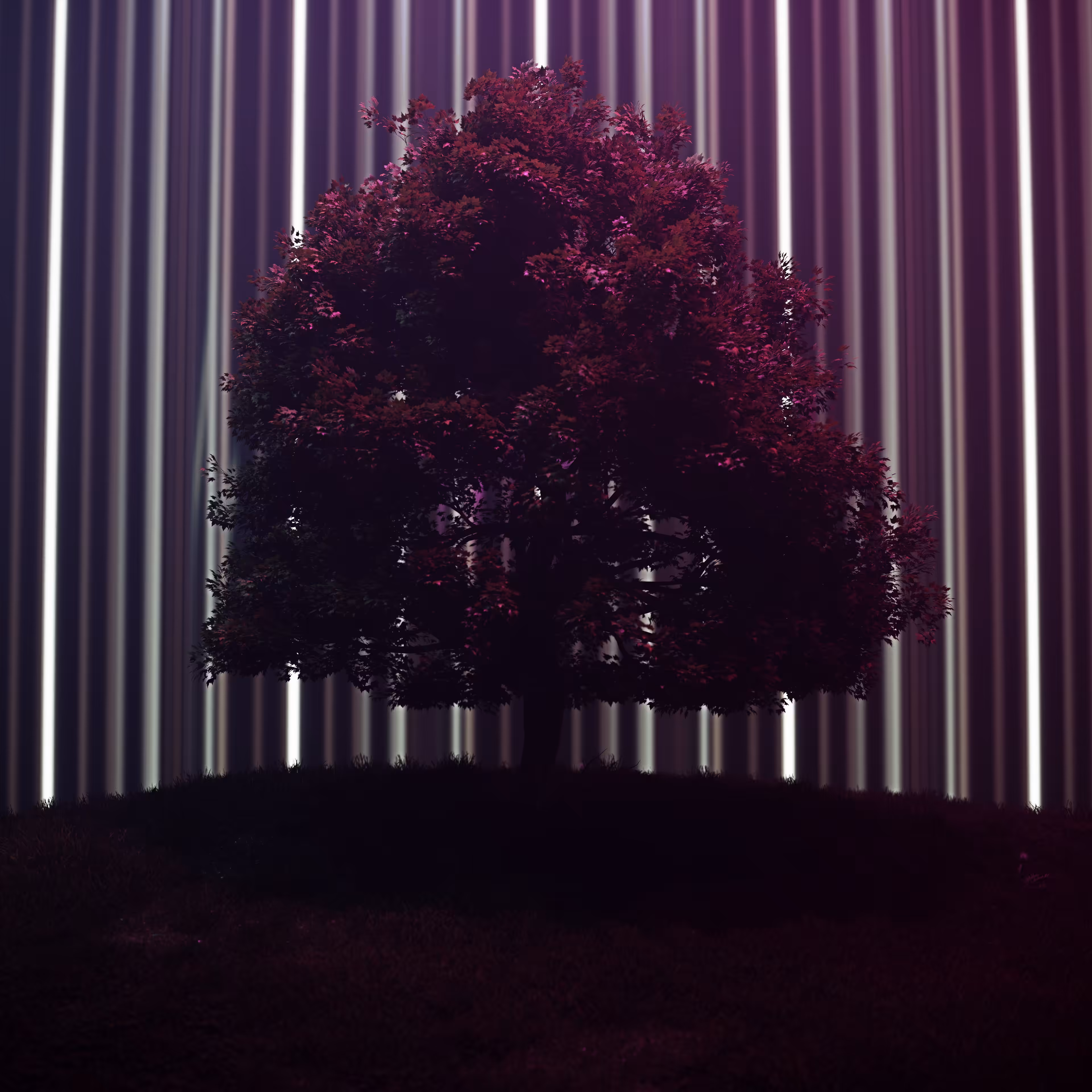 Alone.~*•