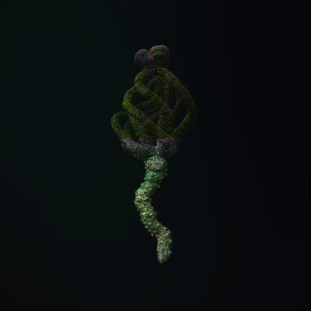 Saṅkhāra #51