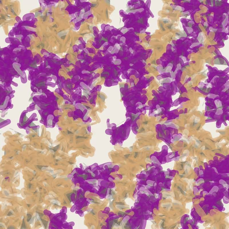 Petri 1500 v2 QHD  #351