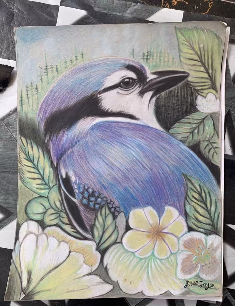 Blue jay