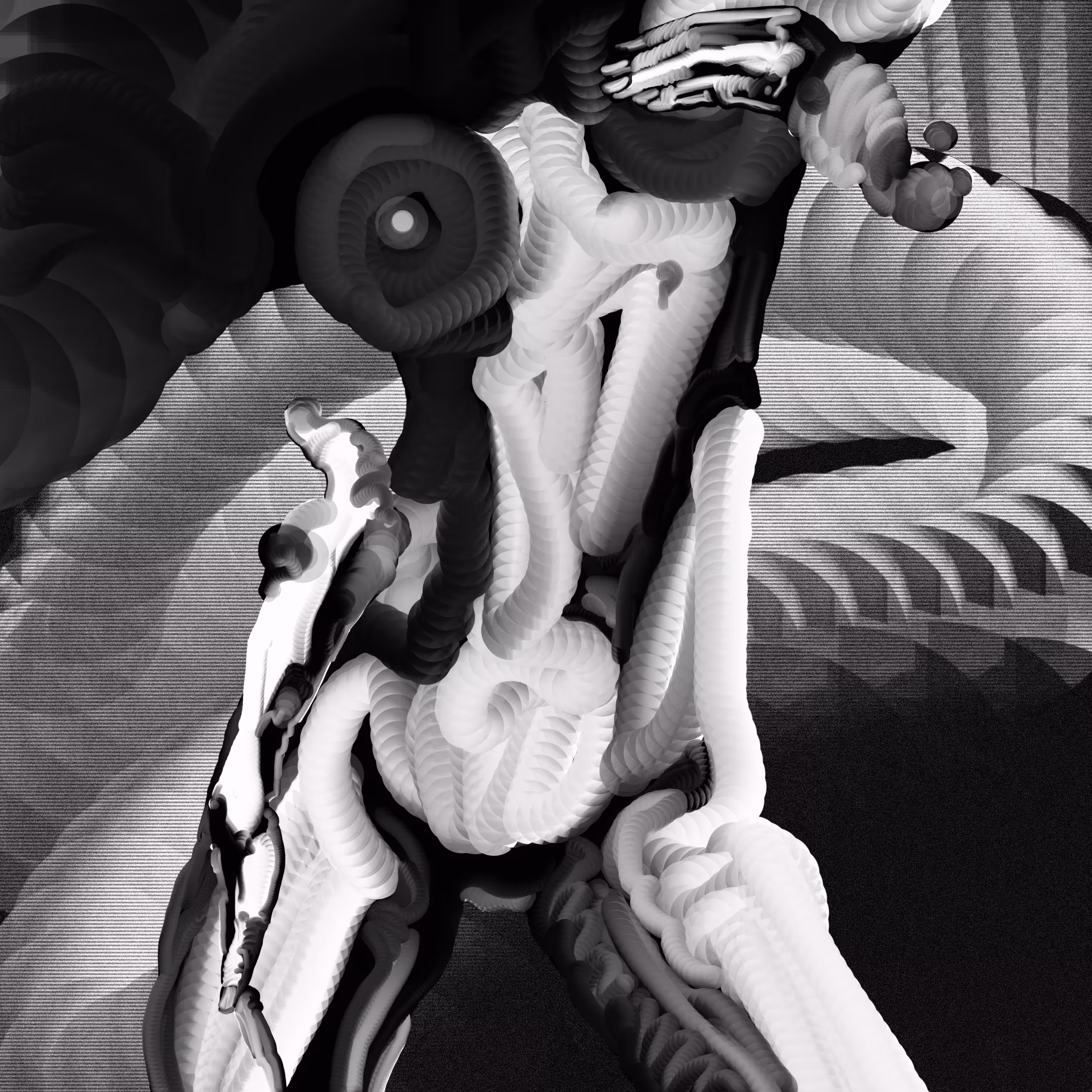 ╫▒▒ #2