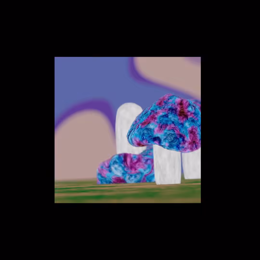 mashrooms of destiny