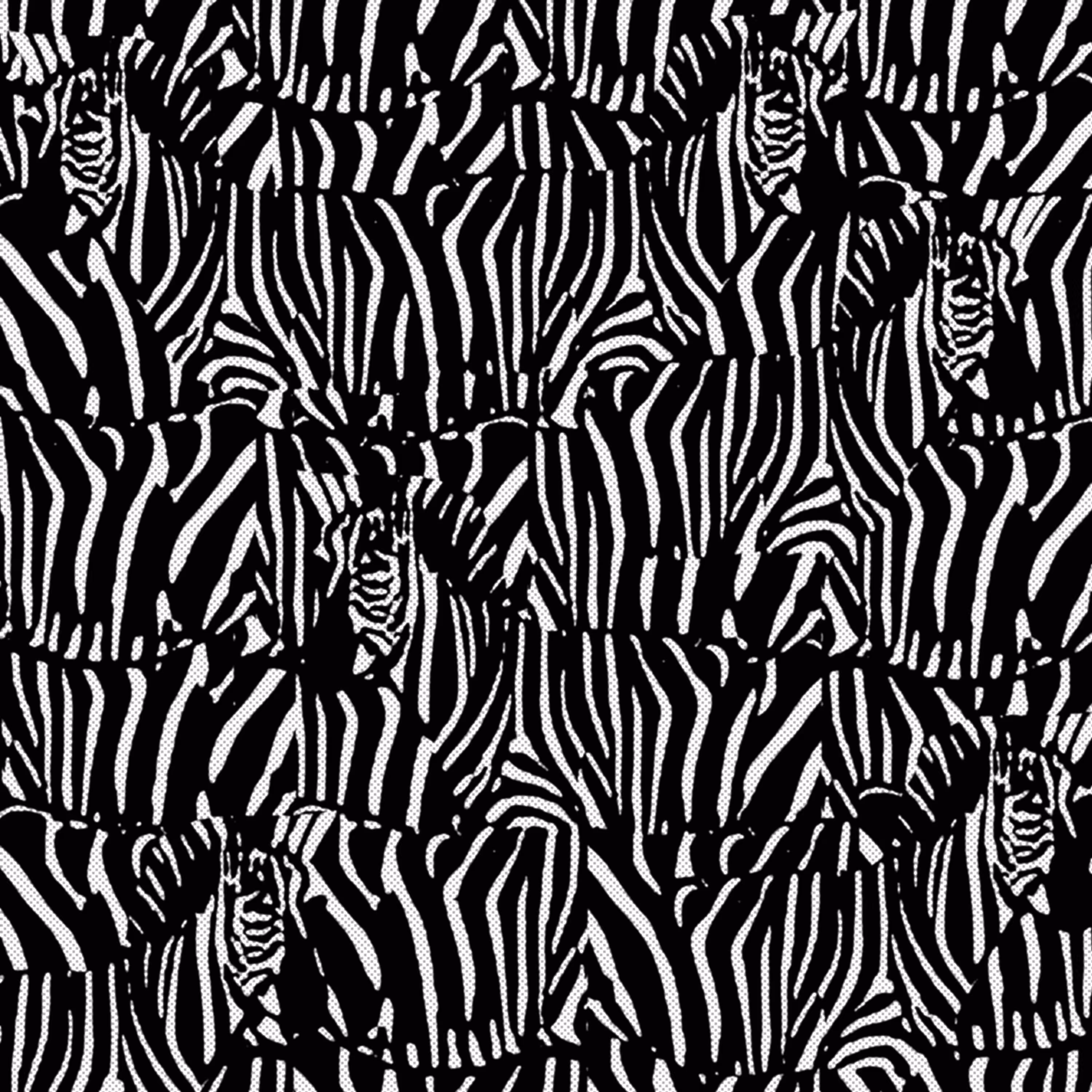 Zebras