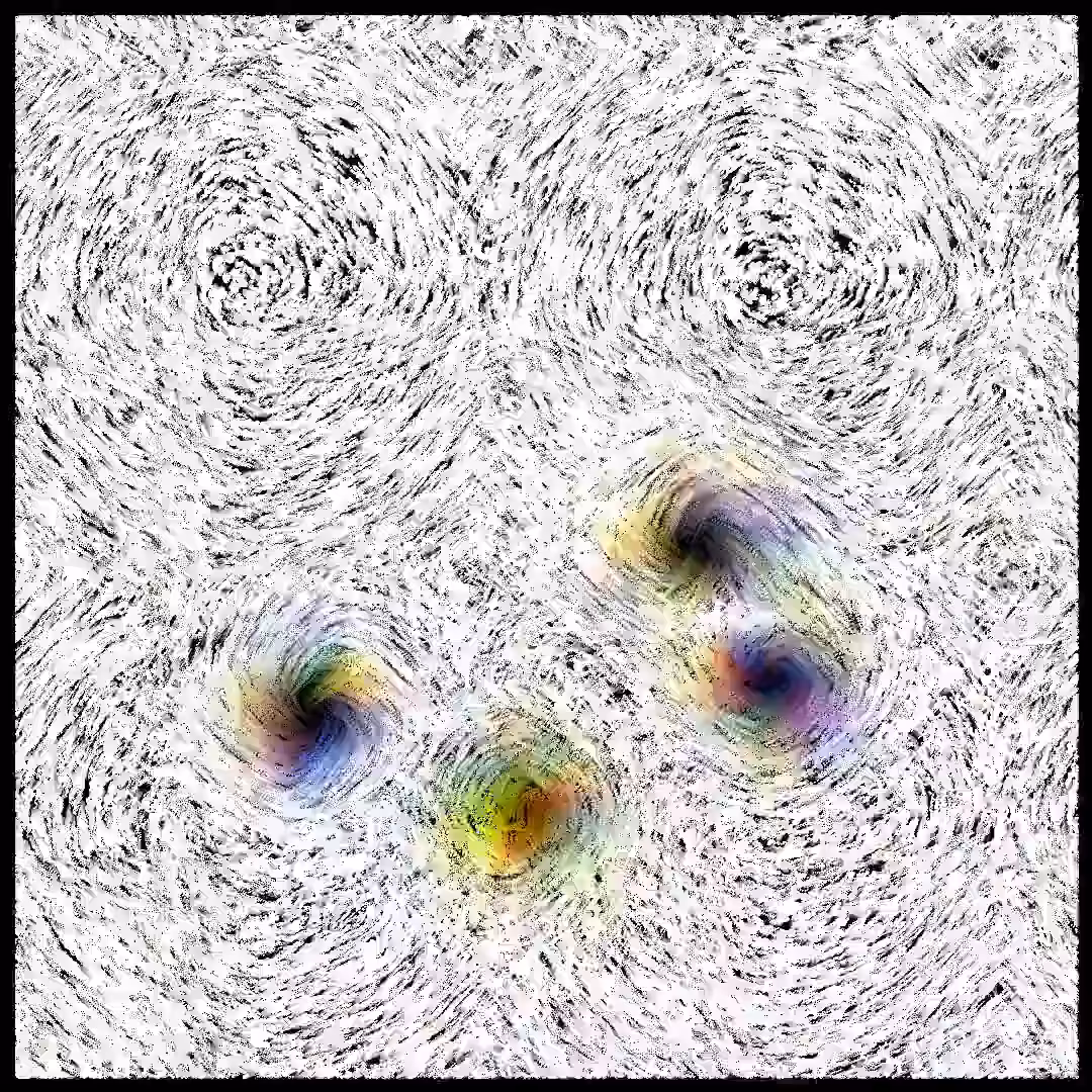 bloom