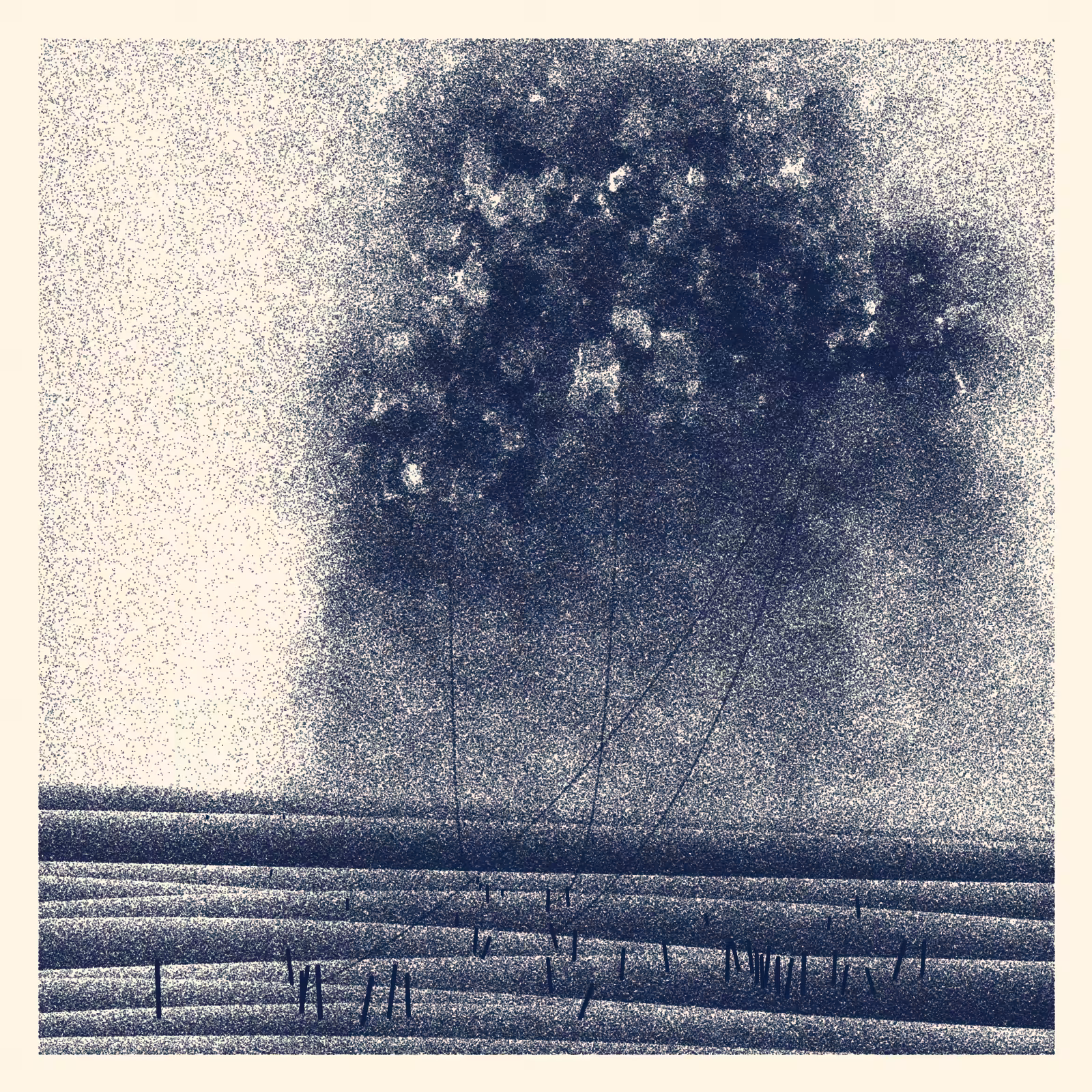 Cables and Clouds #216