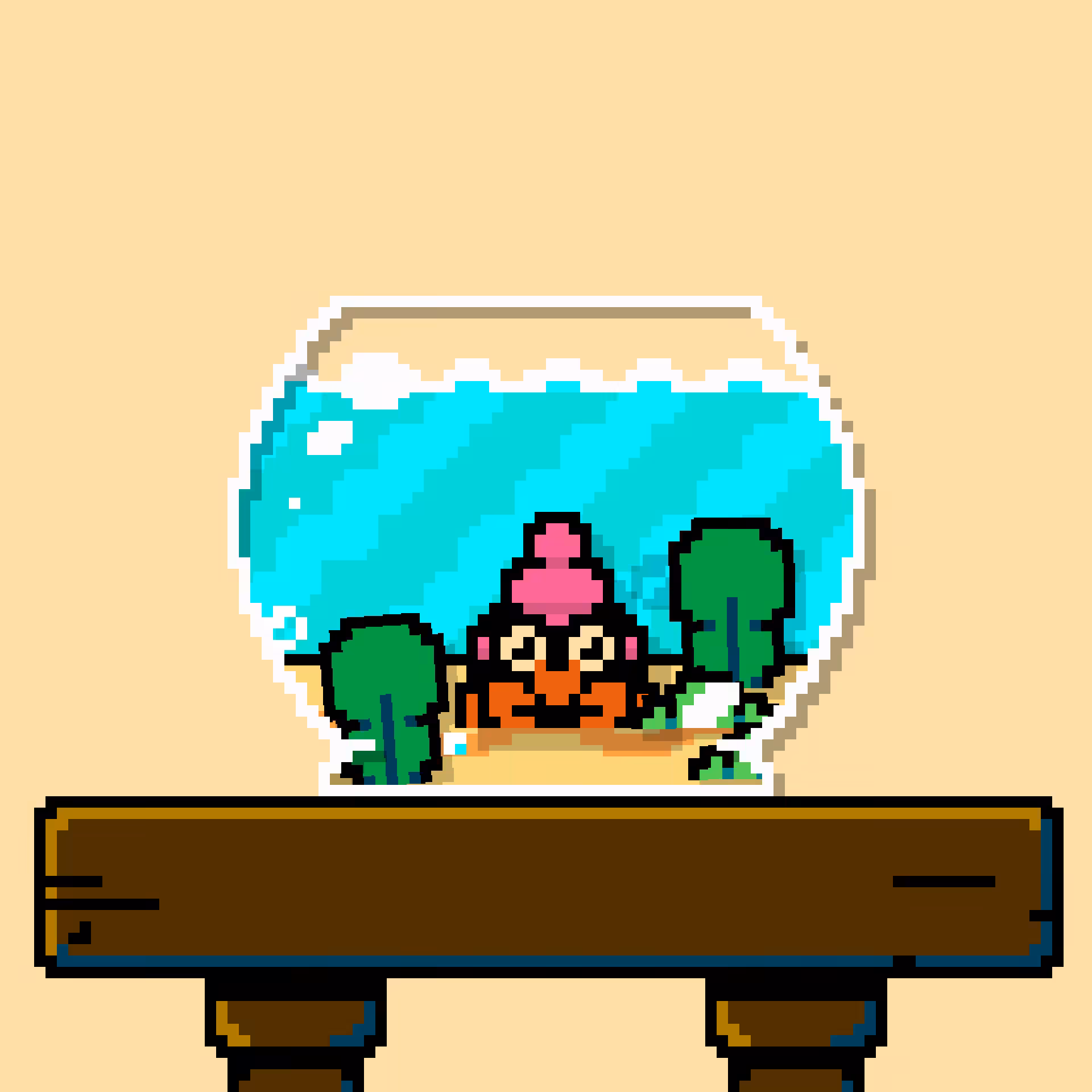 hermit crab #211