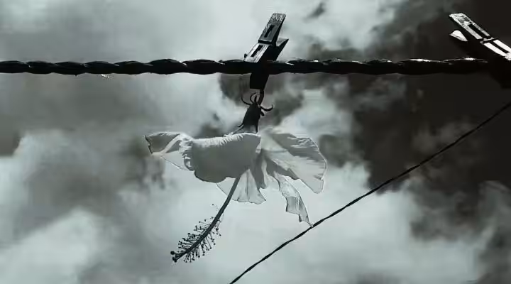 Time in silence 