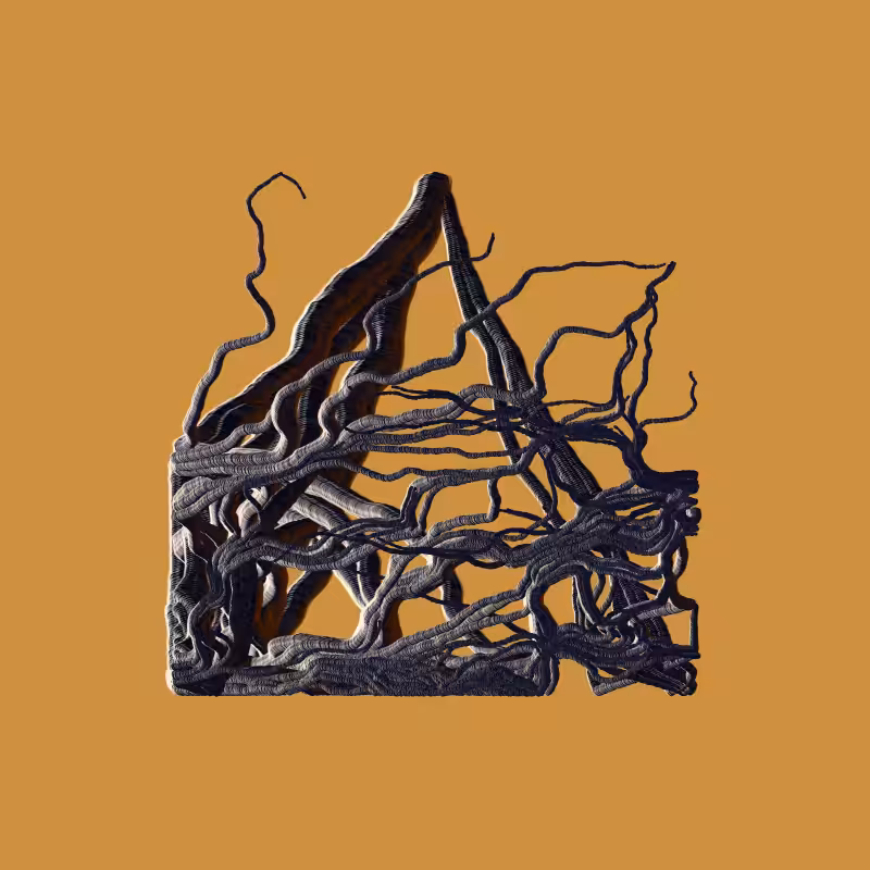 Root #59