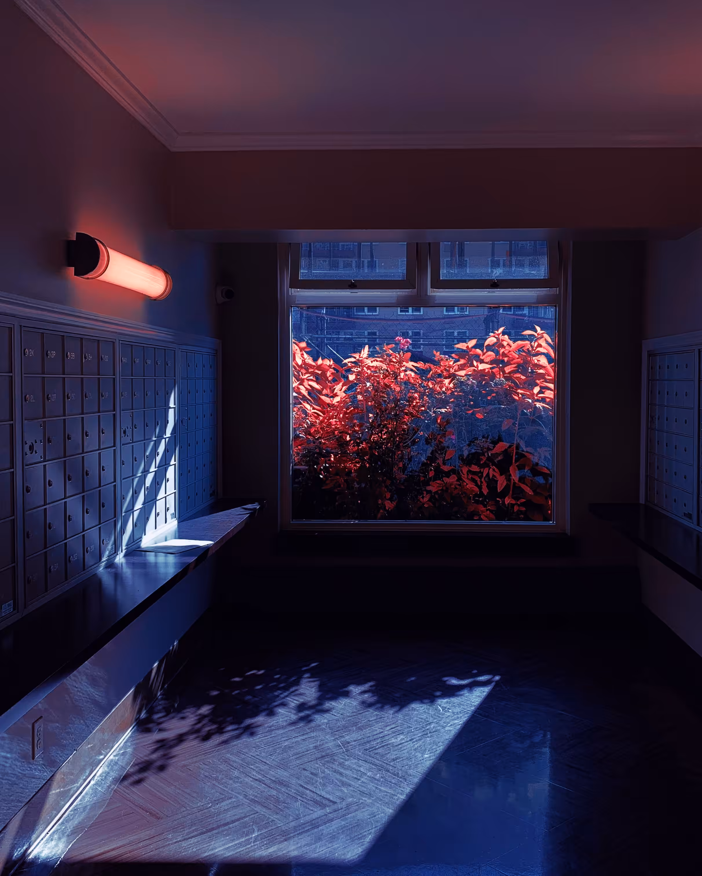 The Mailroom 003