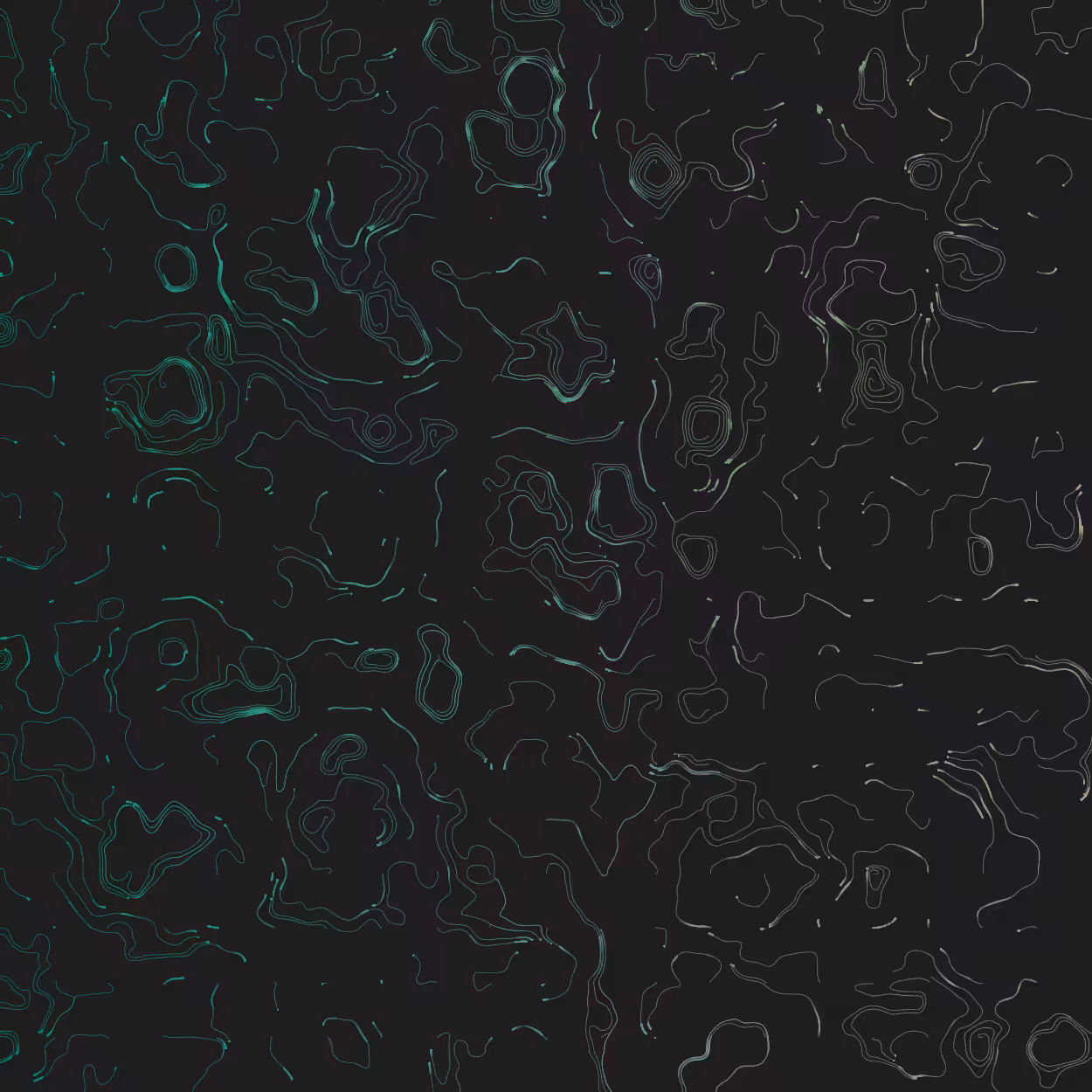 Topographic Lines #31