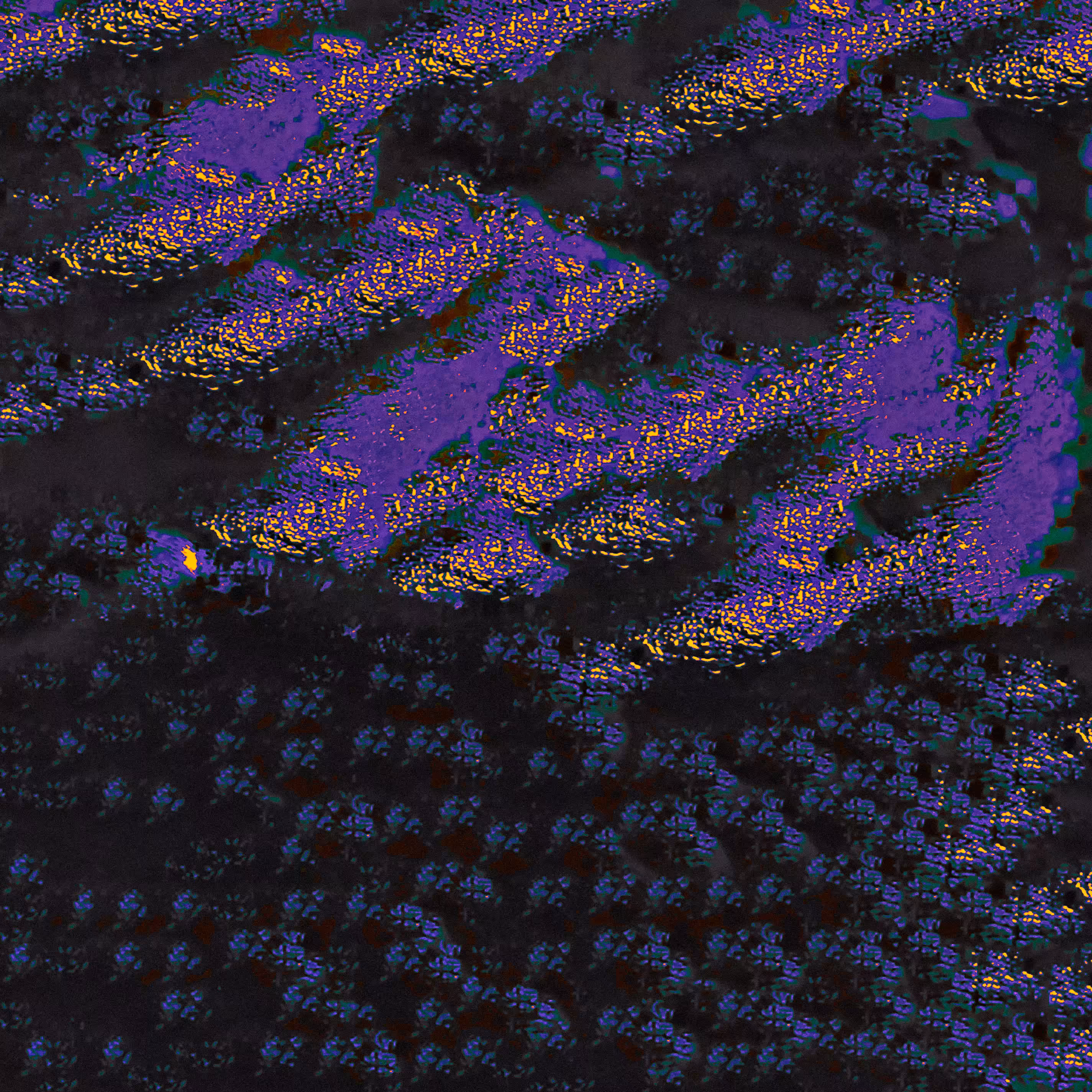 This Pain Spreads Out Like A Fungus II