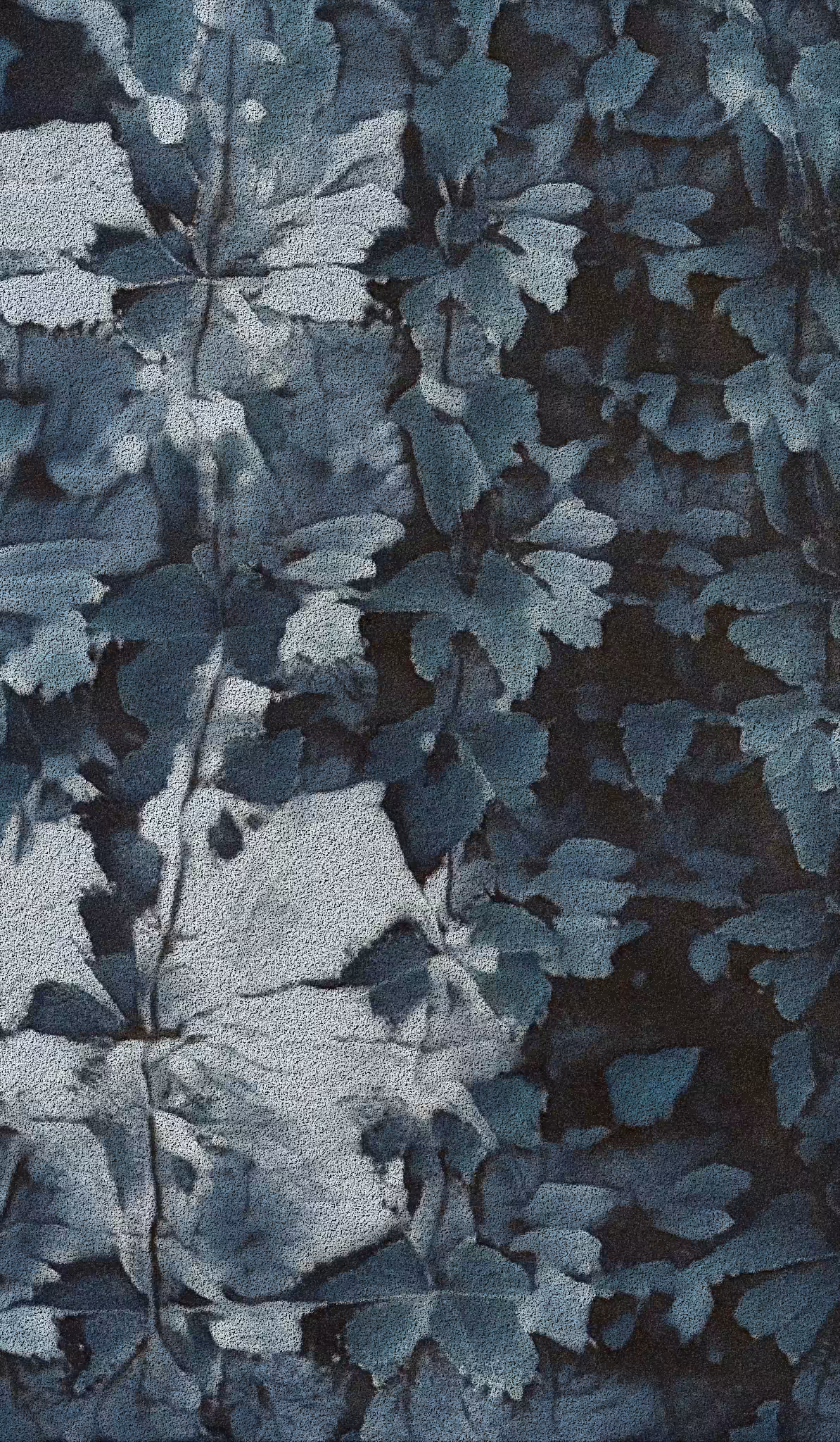 APPARATUS-VITIS: Apparatus Vitis #45