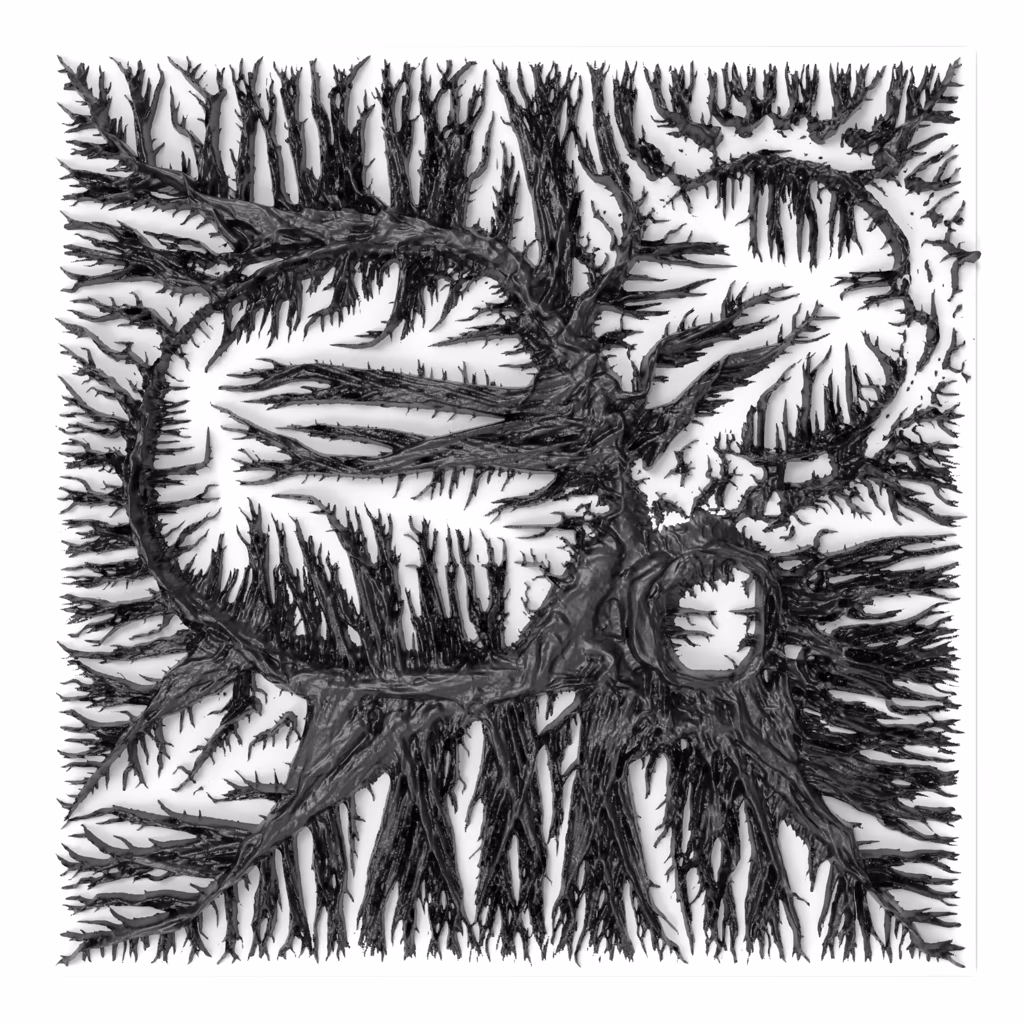 BW Algoscapes 33