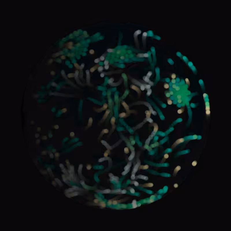 Earth #92