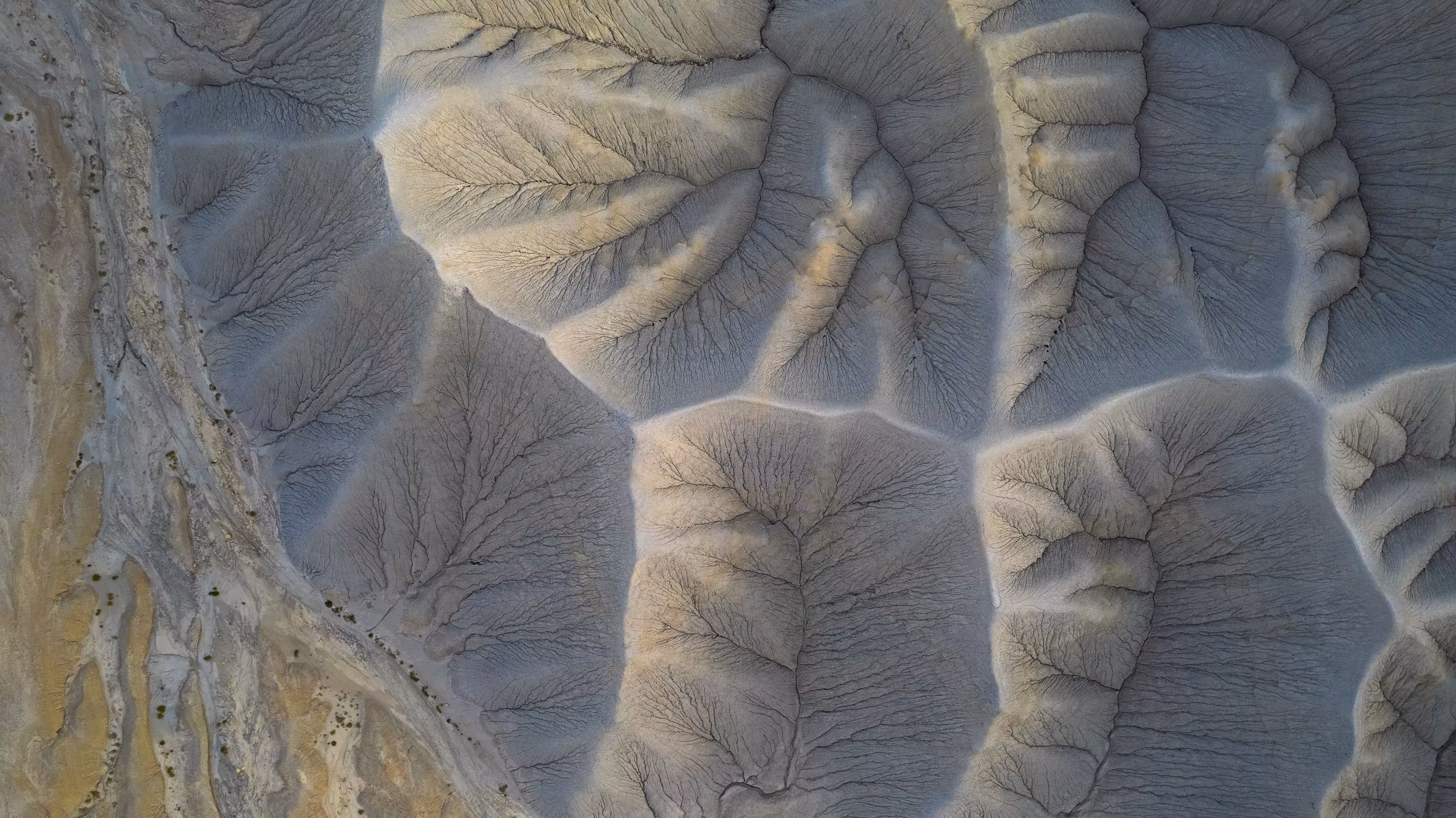 Water Shapes the World