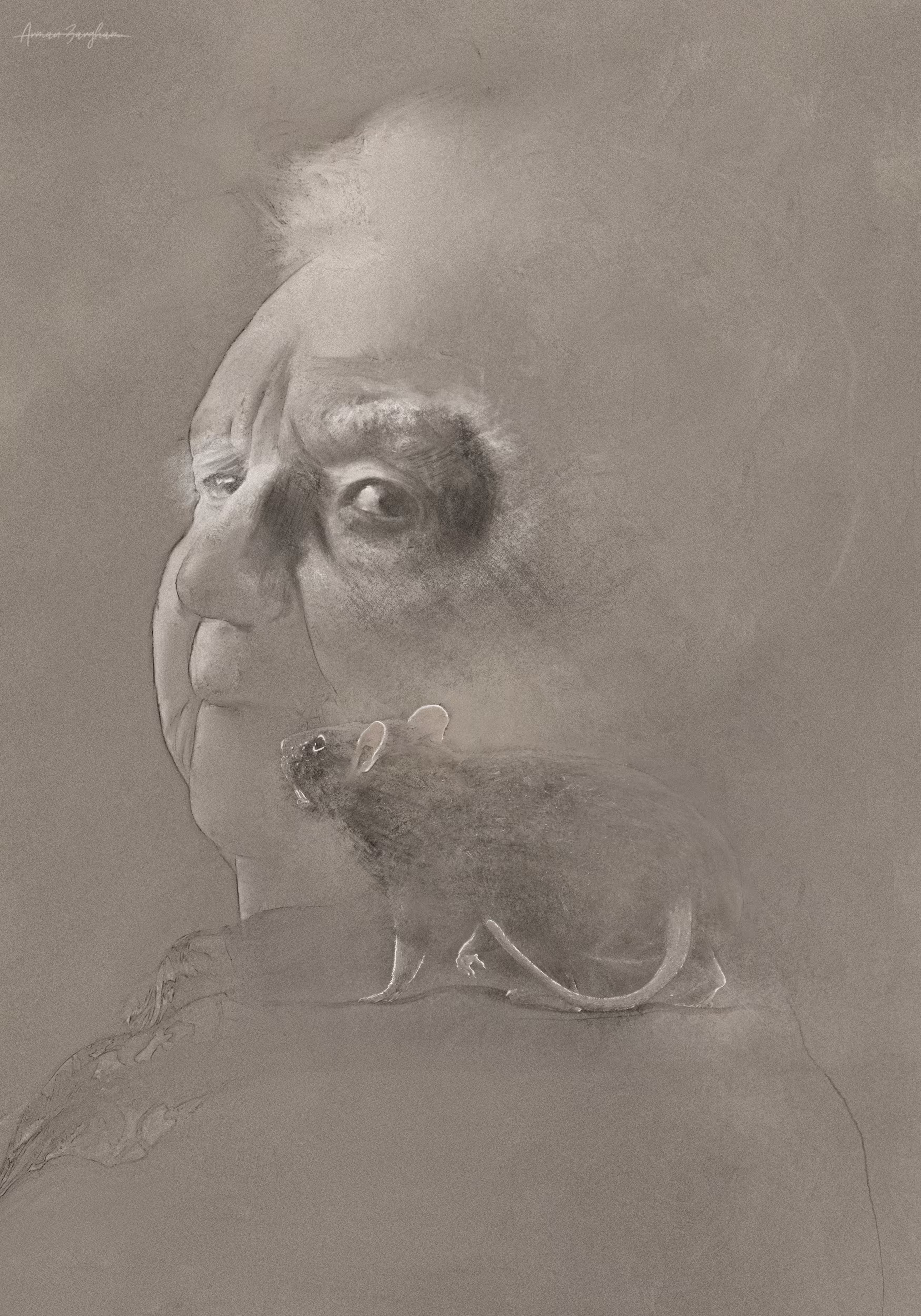 Rat