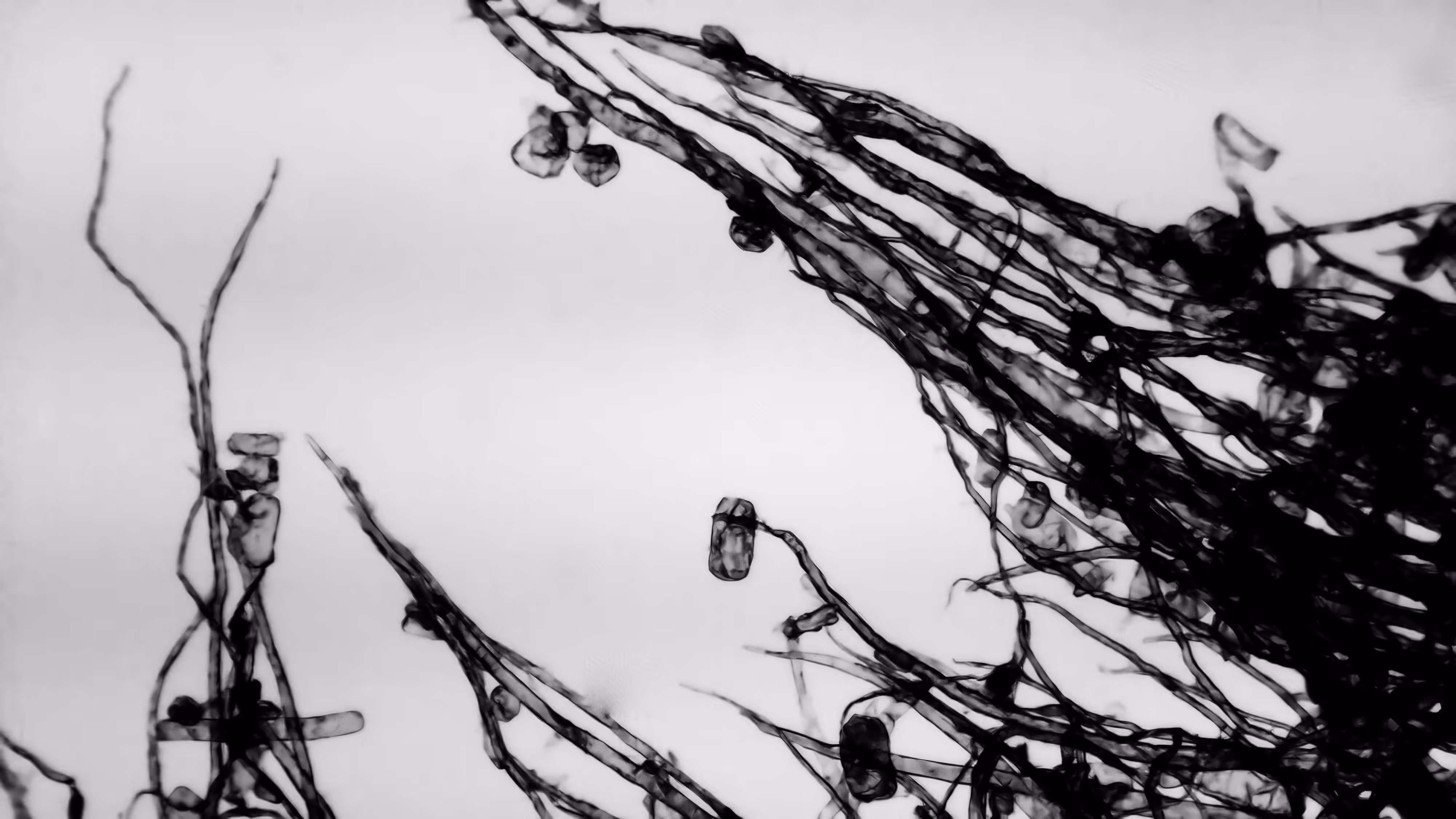 structures1