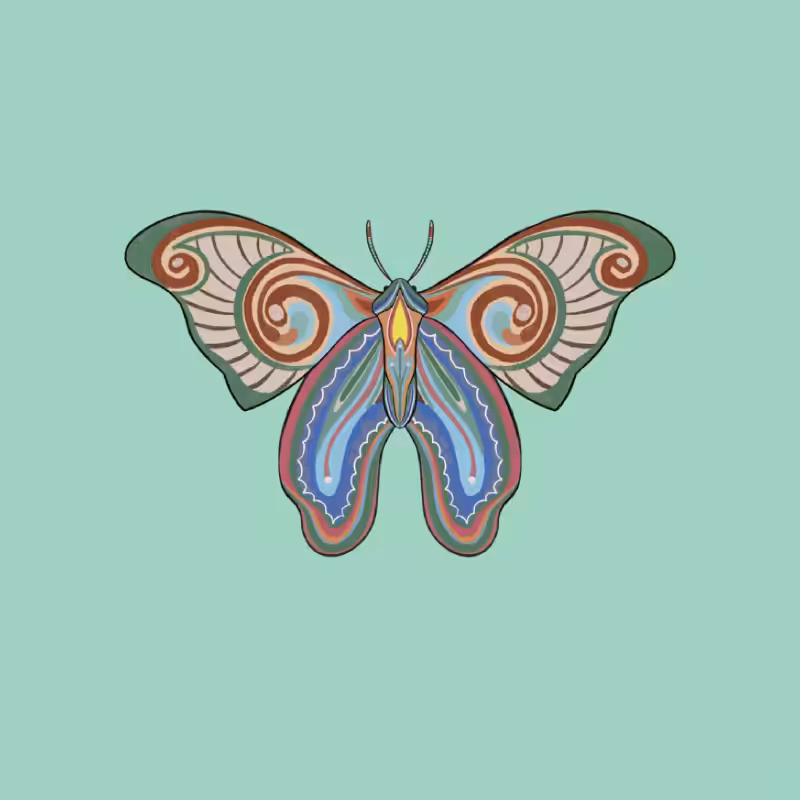 The Moth Experiment 2.0 P1 #12
