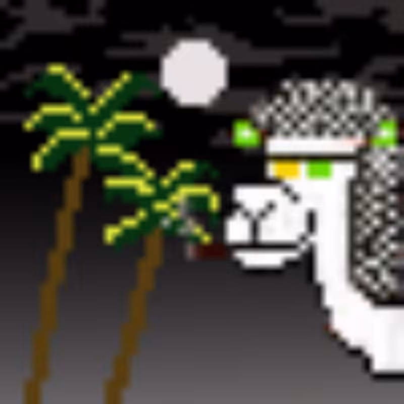 Saudi camel #2