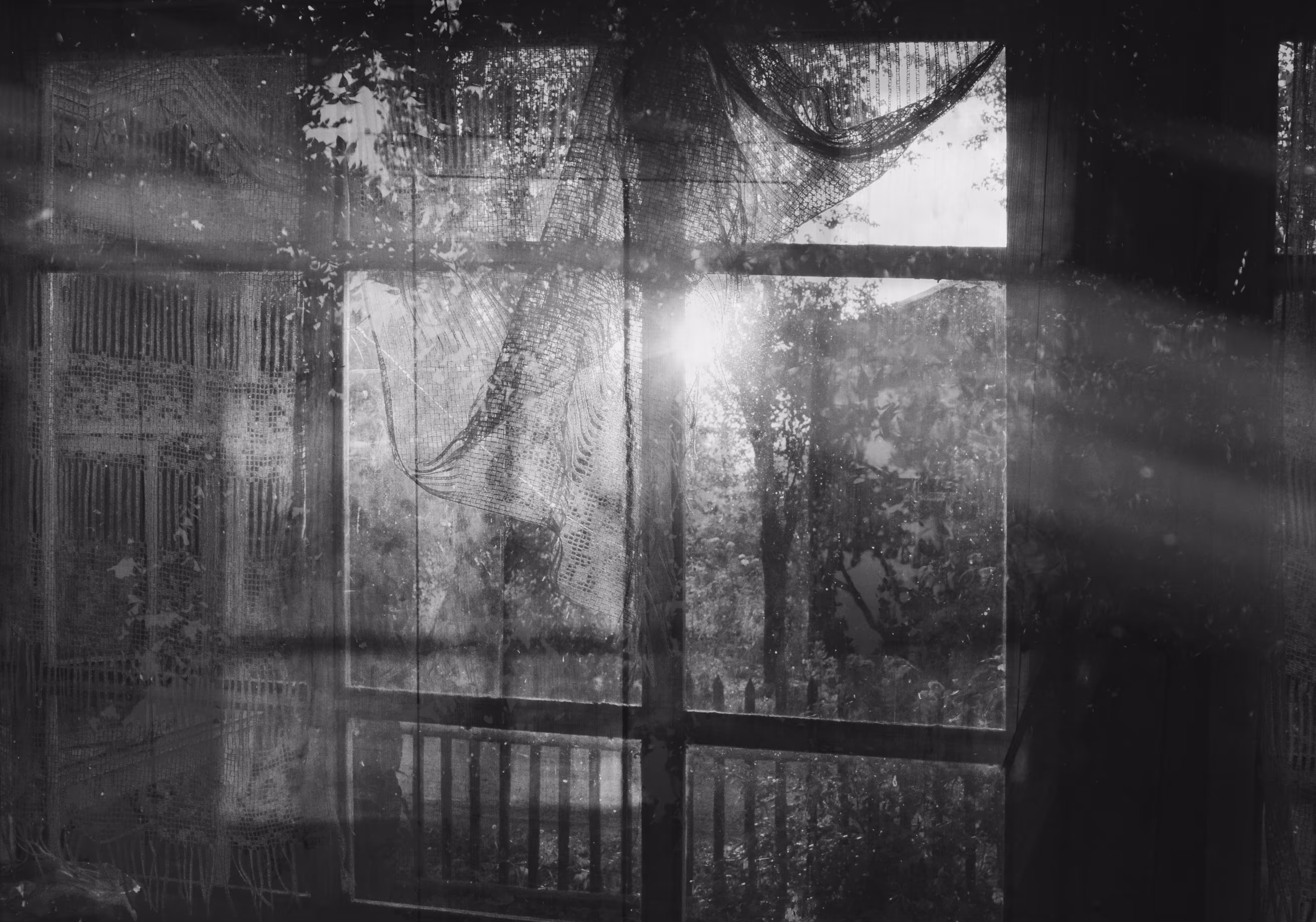 Through the glass