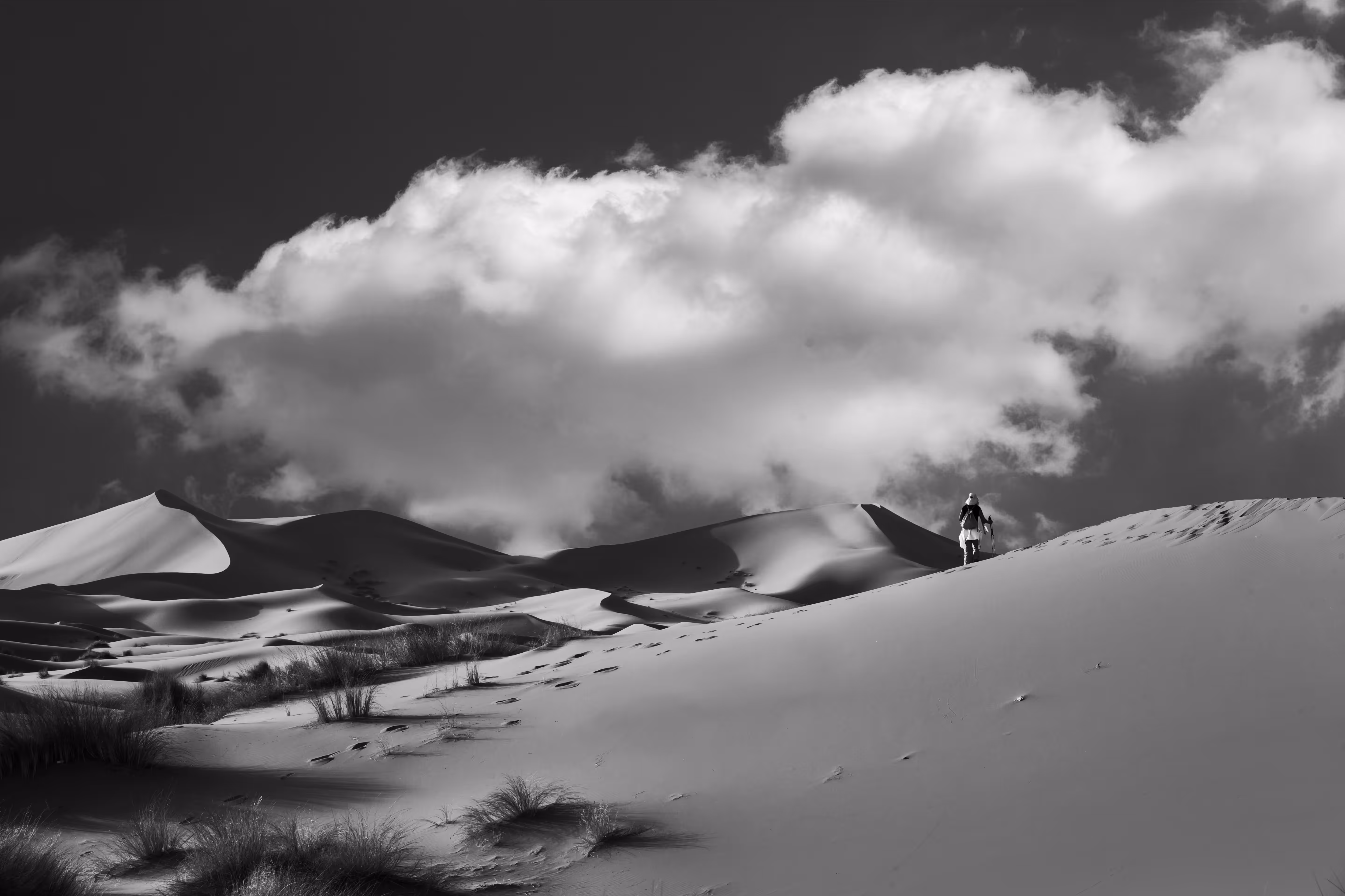 Traveller in Sahara desert