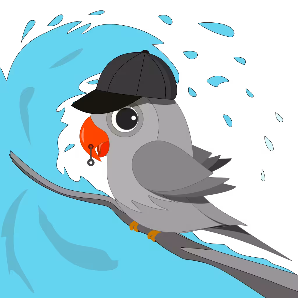 All season birdy #80