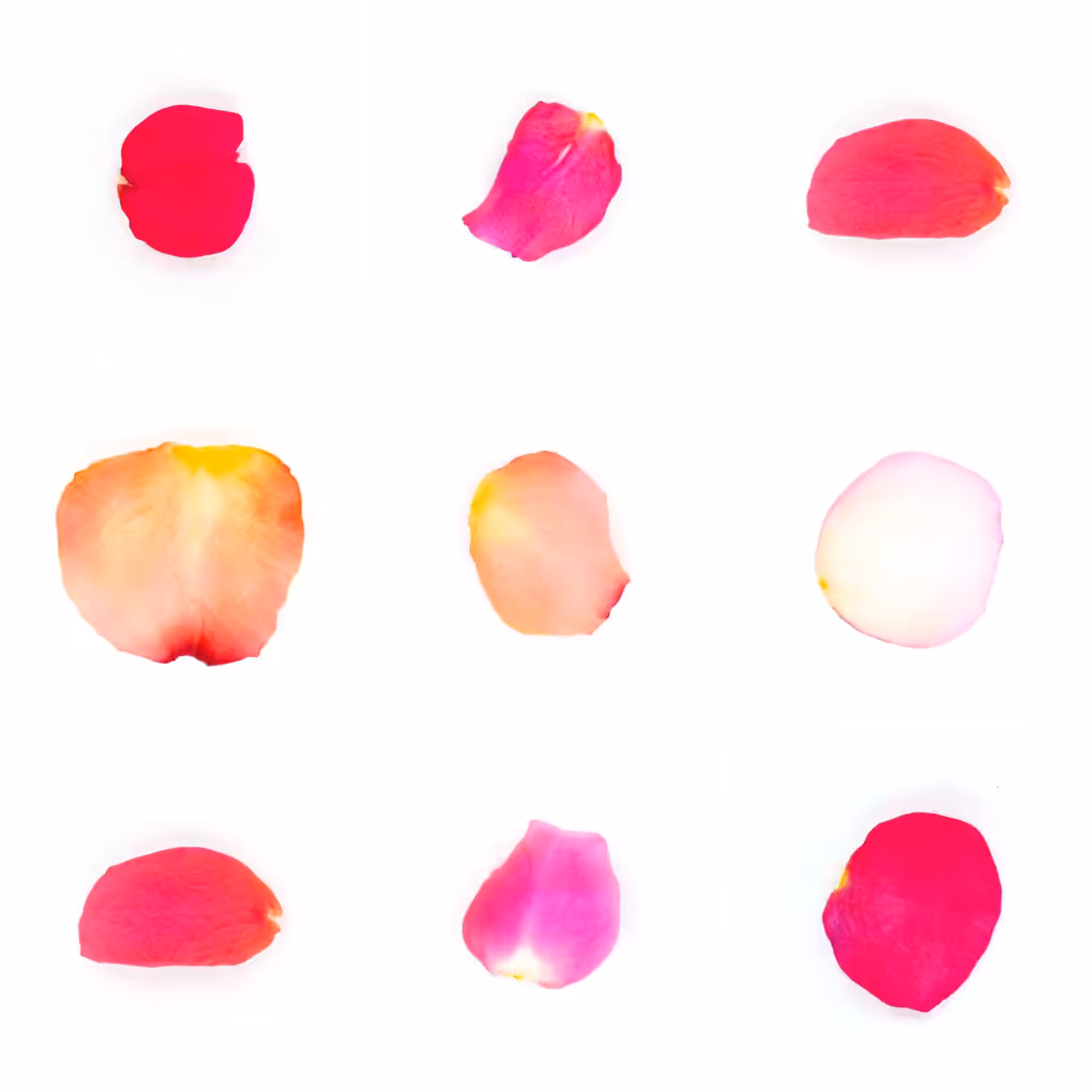 Infinite Petals 3x3#3626