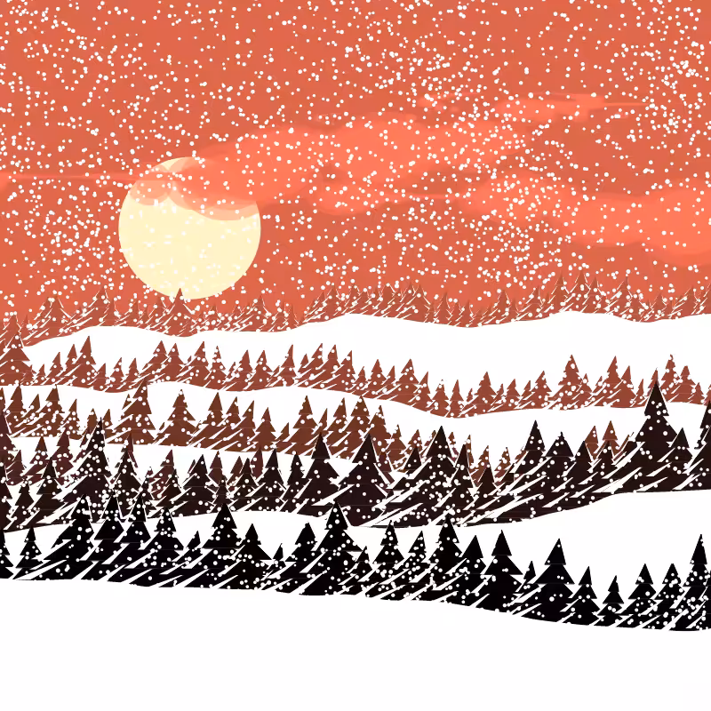 Winterland #159