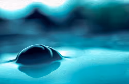 The Dream Snail