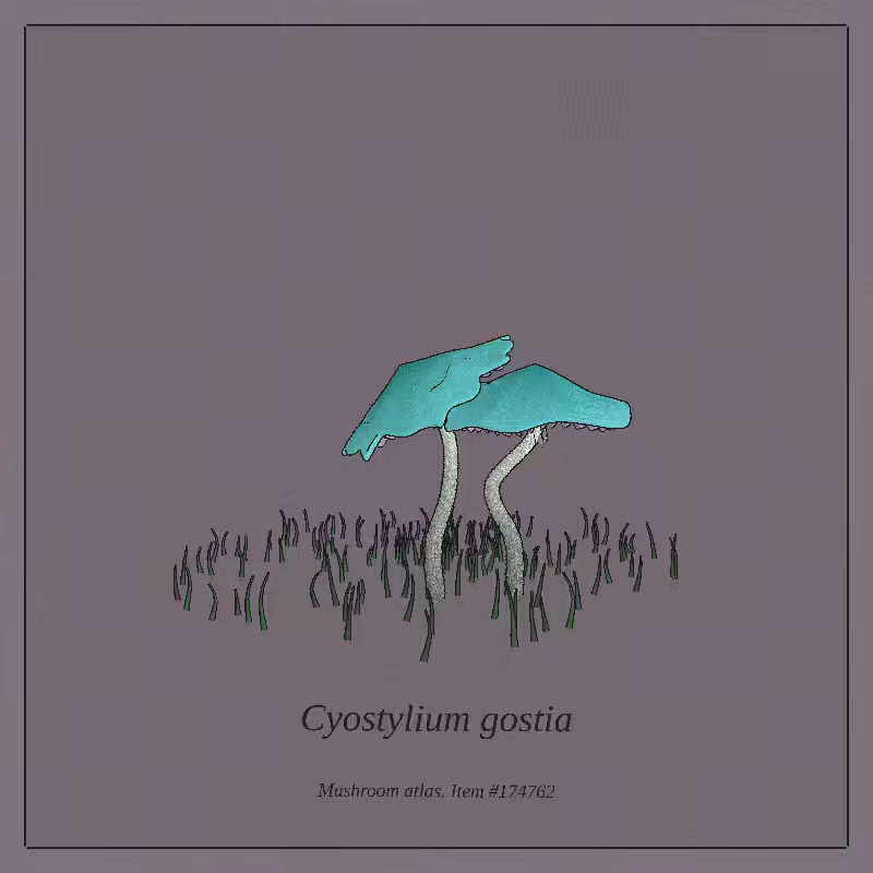 Mushroom Atlas #25