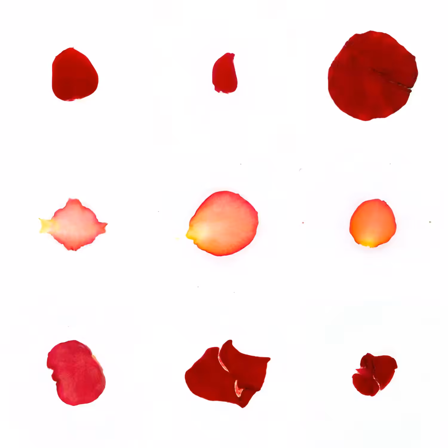 Infinite Petals 3x3#1844