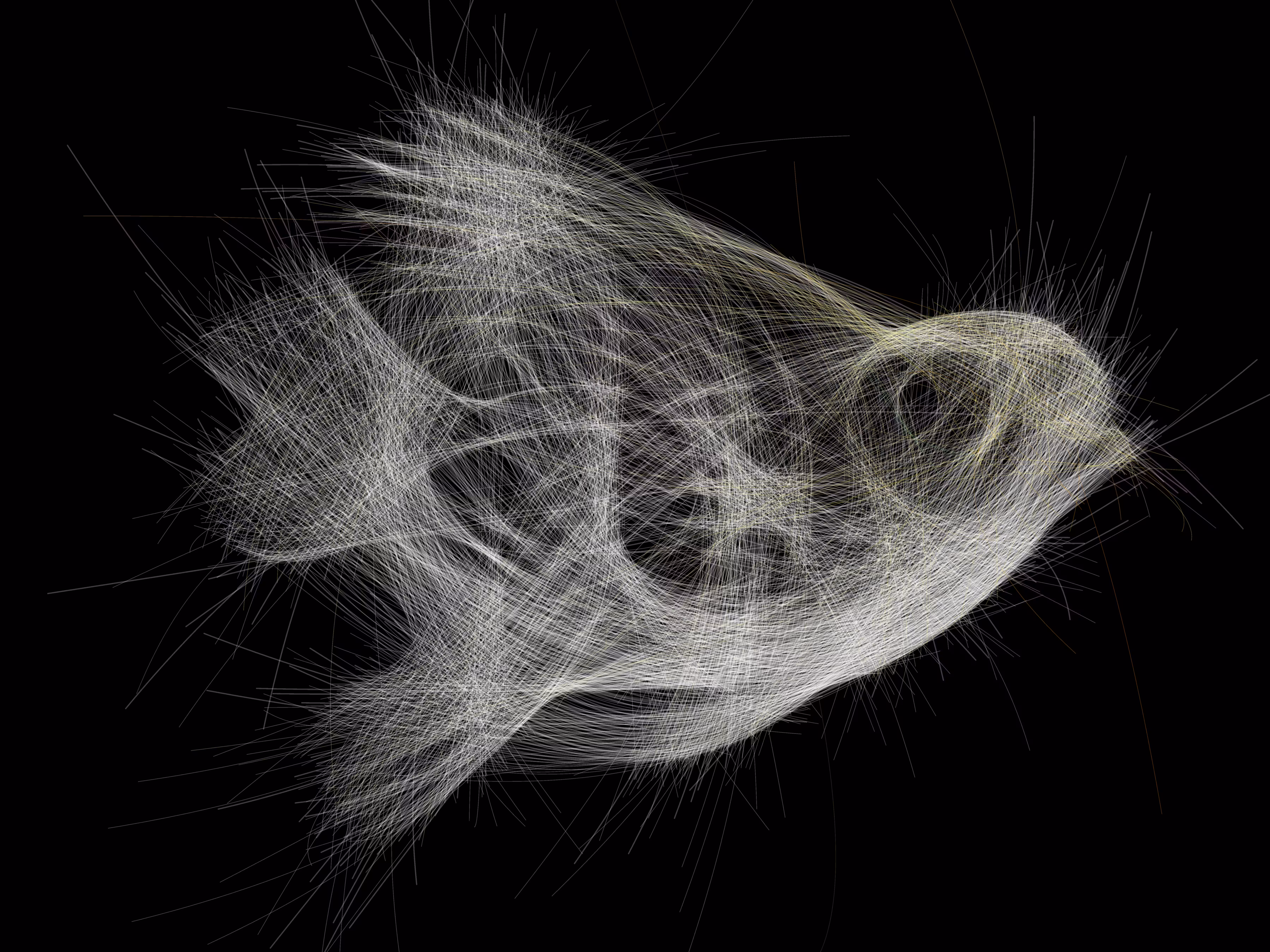 Underwater 143