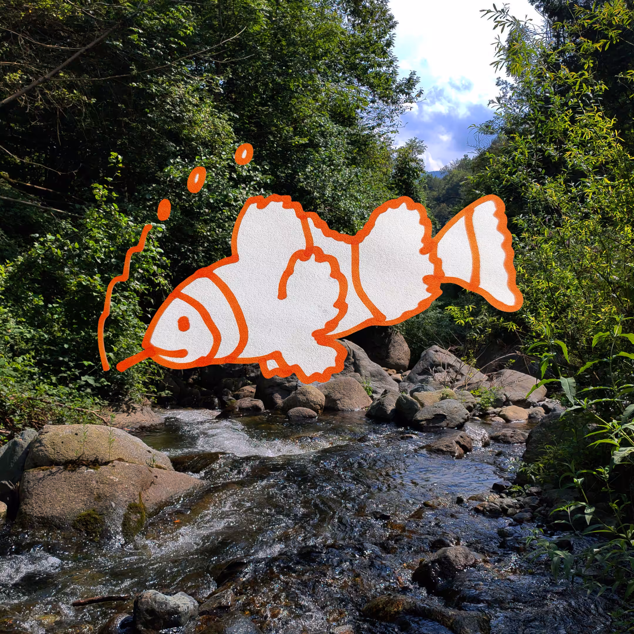 fish3