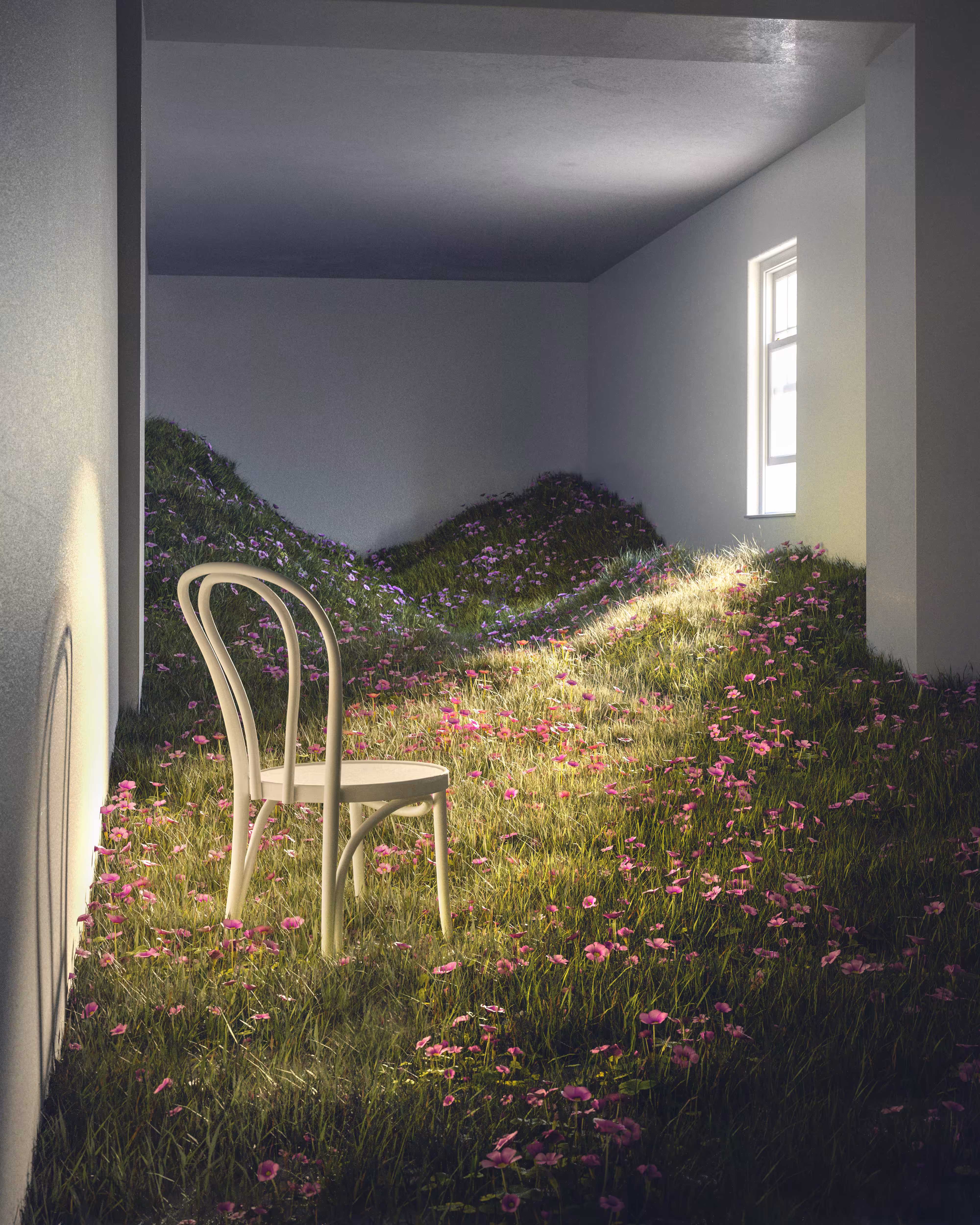 The Beautiful Inside